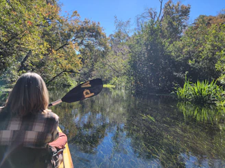 A kayaker paddling through calm forest waters surrounded by lush greenery.
