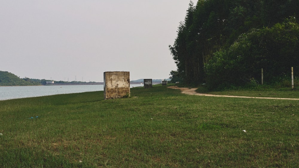 a grassy area with a body of water in the background