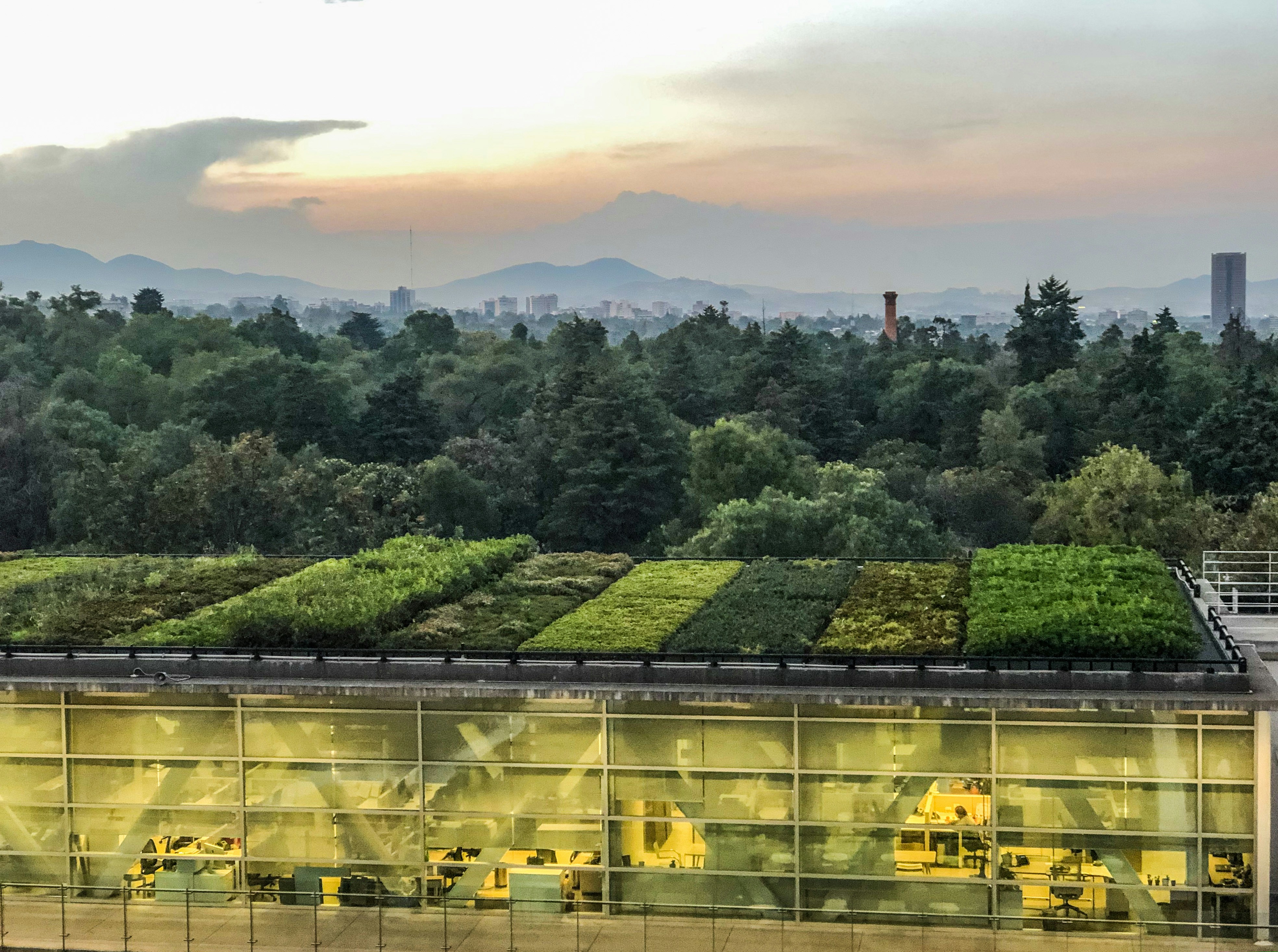 a building with trees and a hill in the background