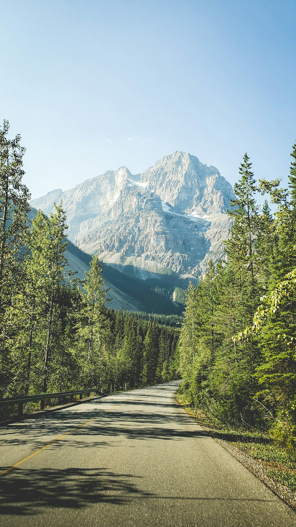 a road with trees and mountains in the background