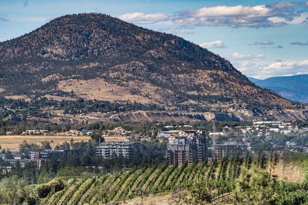 a city in front of a mountain