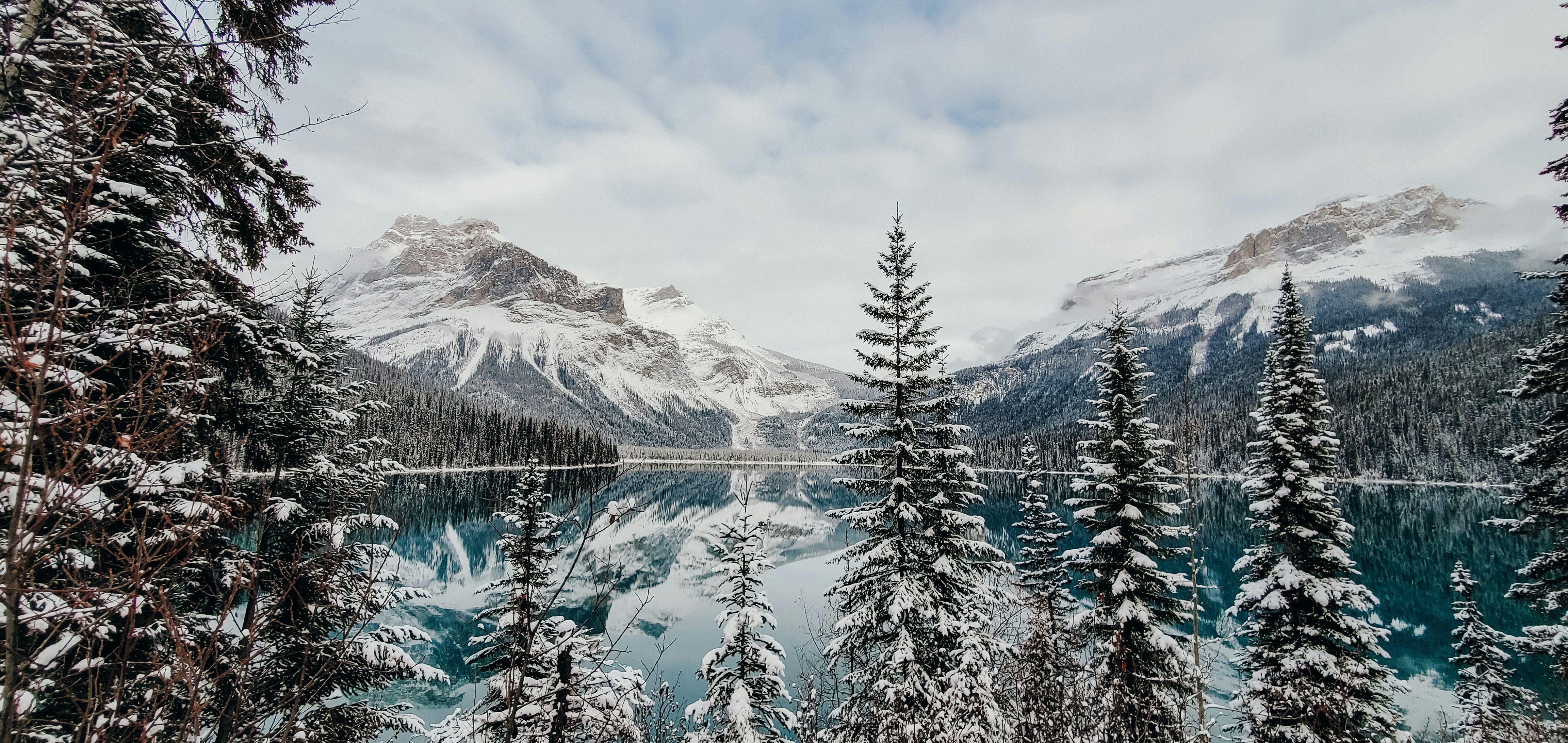 Choose from a curated selection of grey wallpapers for your mobile and desktop screens. Always free on Unsplash.