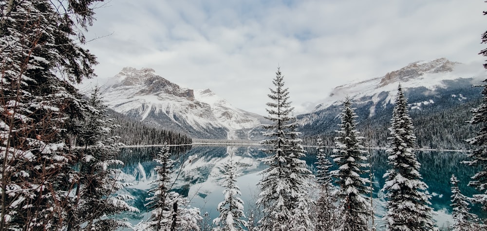 a snowy landscape with trees and mountains