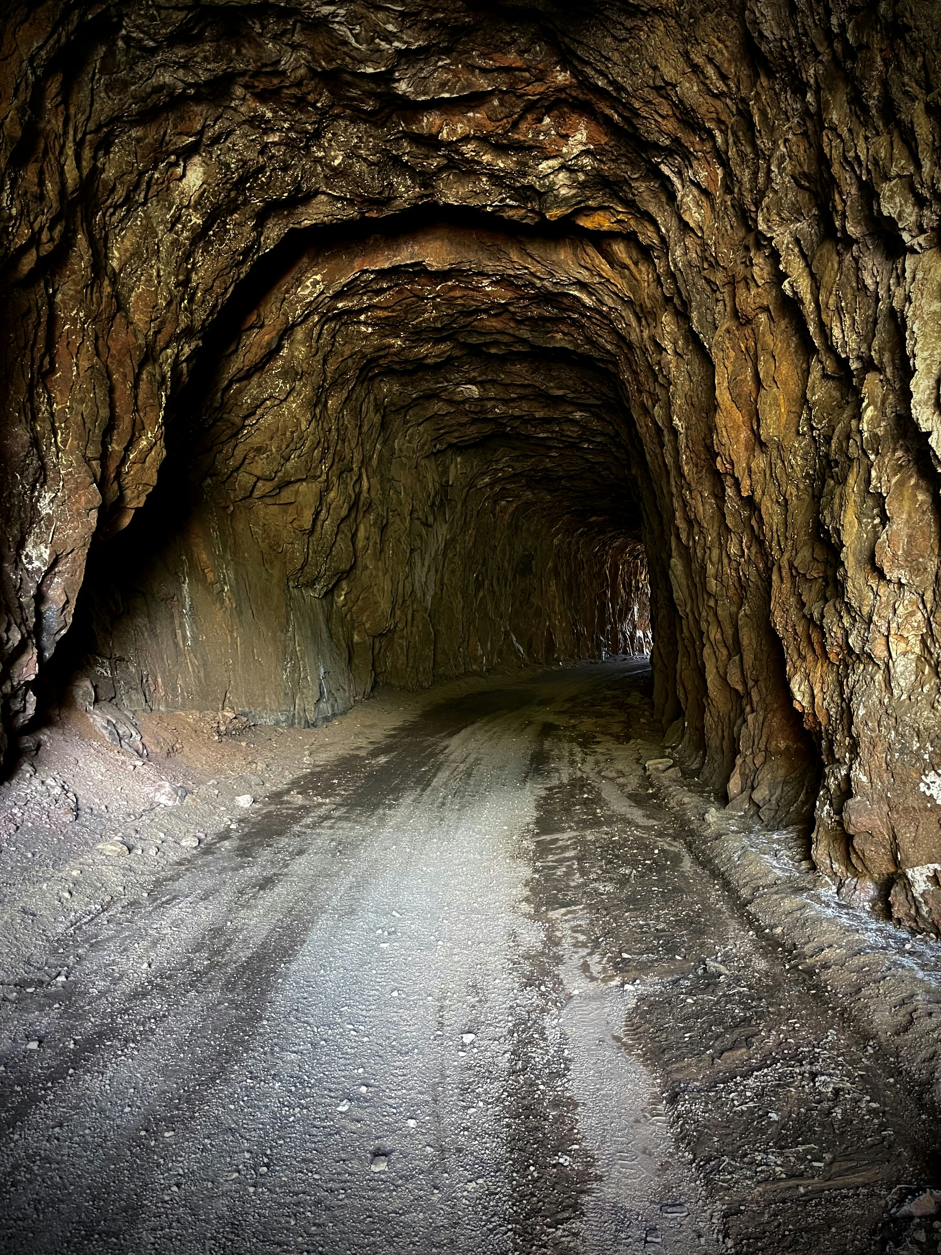 Photo by laitonbarbo