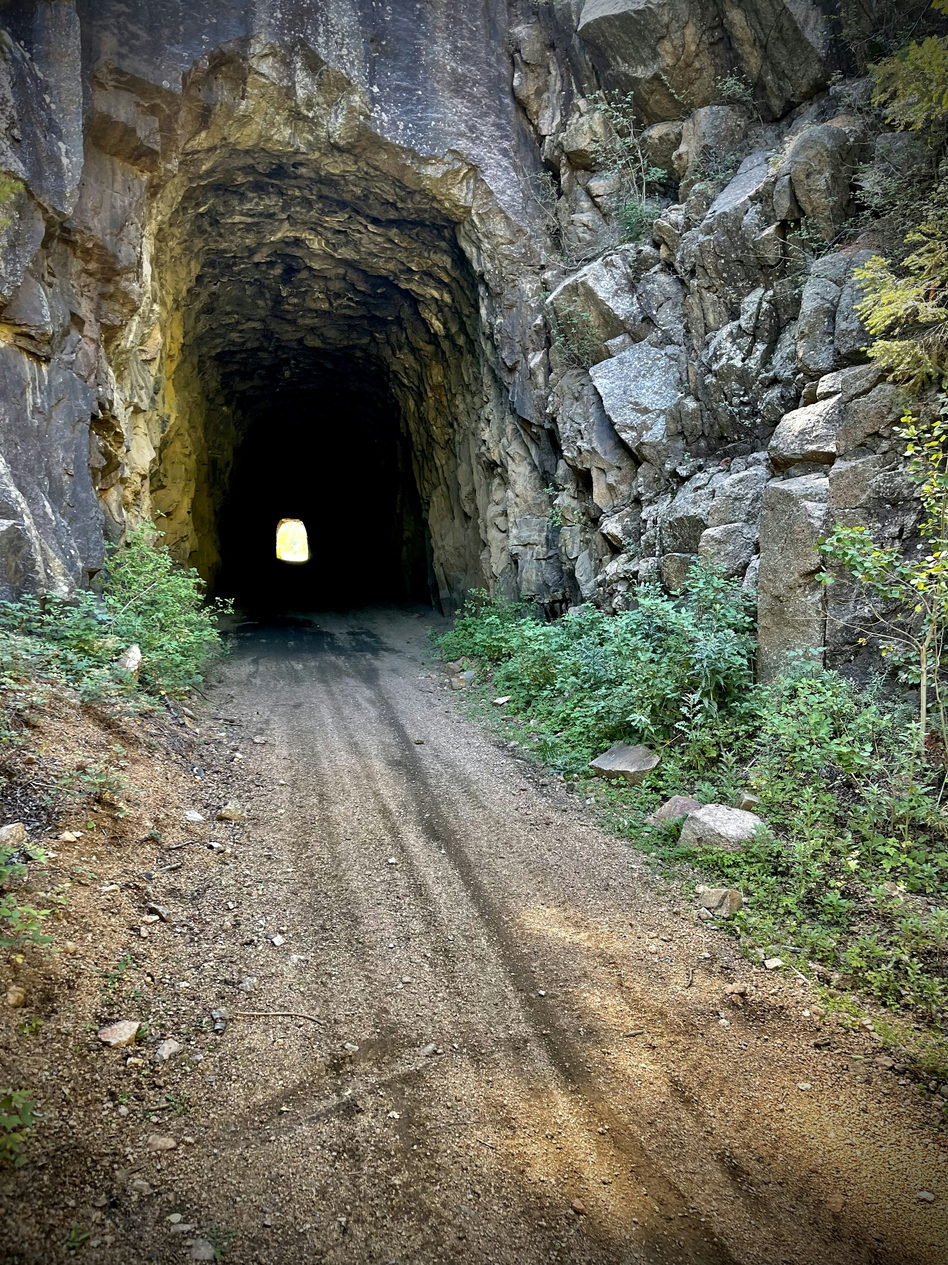 Photo by laitonbarbo