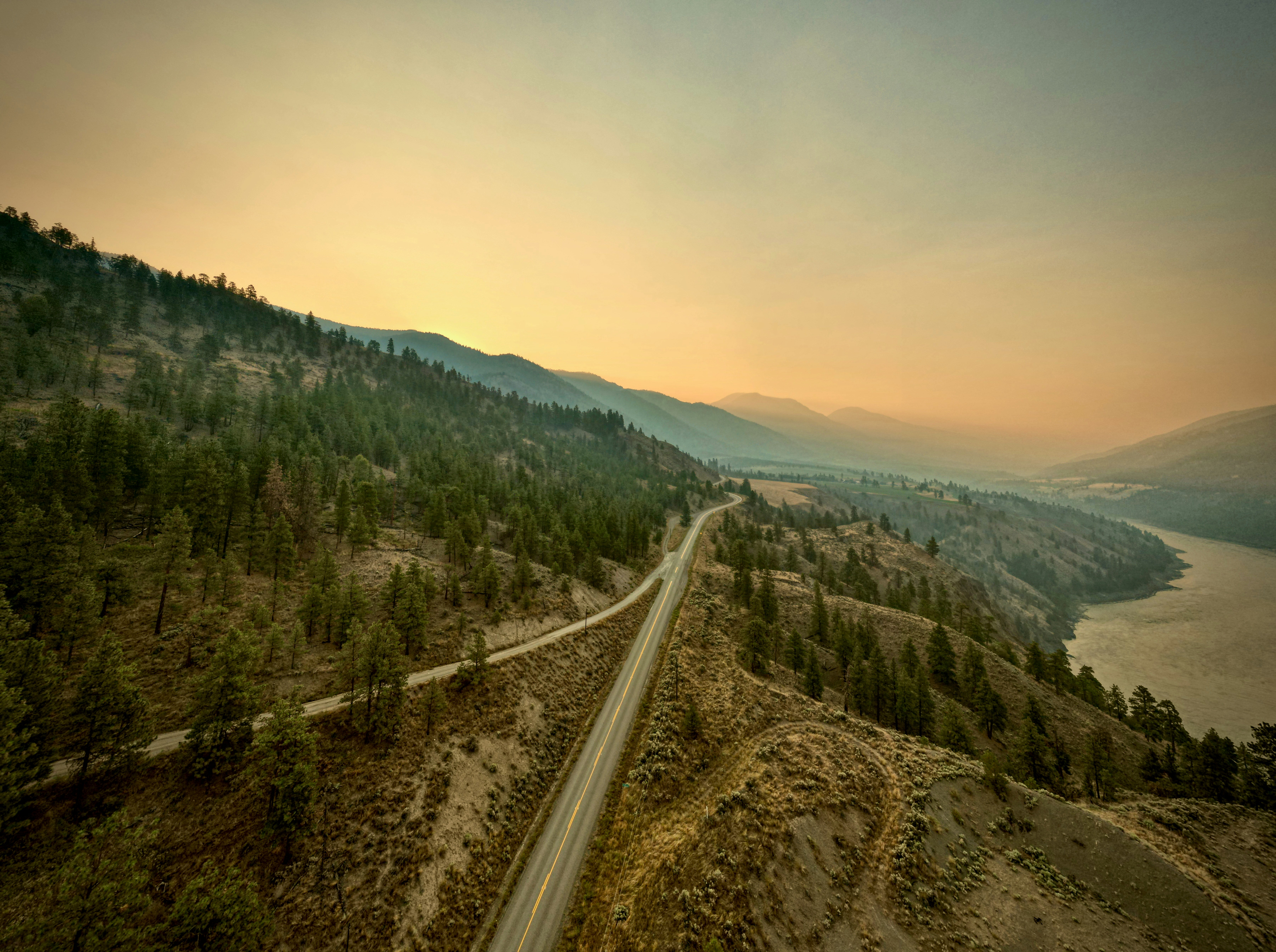 a road going through a forest