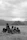A group of teenagers laughing together while leading horses along a sunlit trail in the Ardèche countryside.