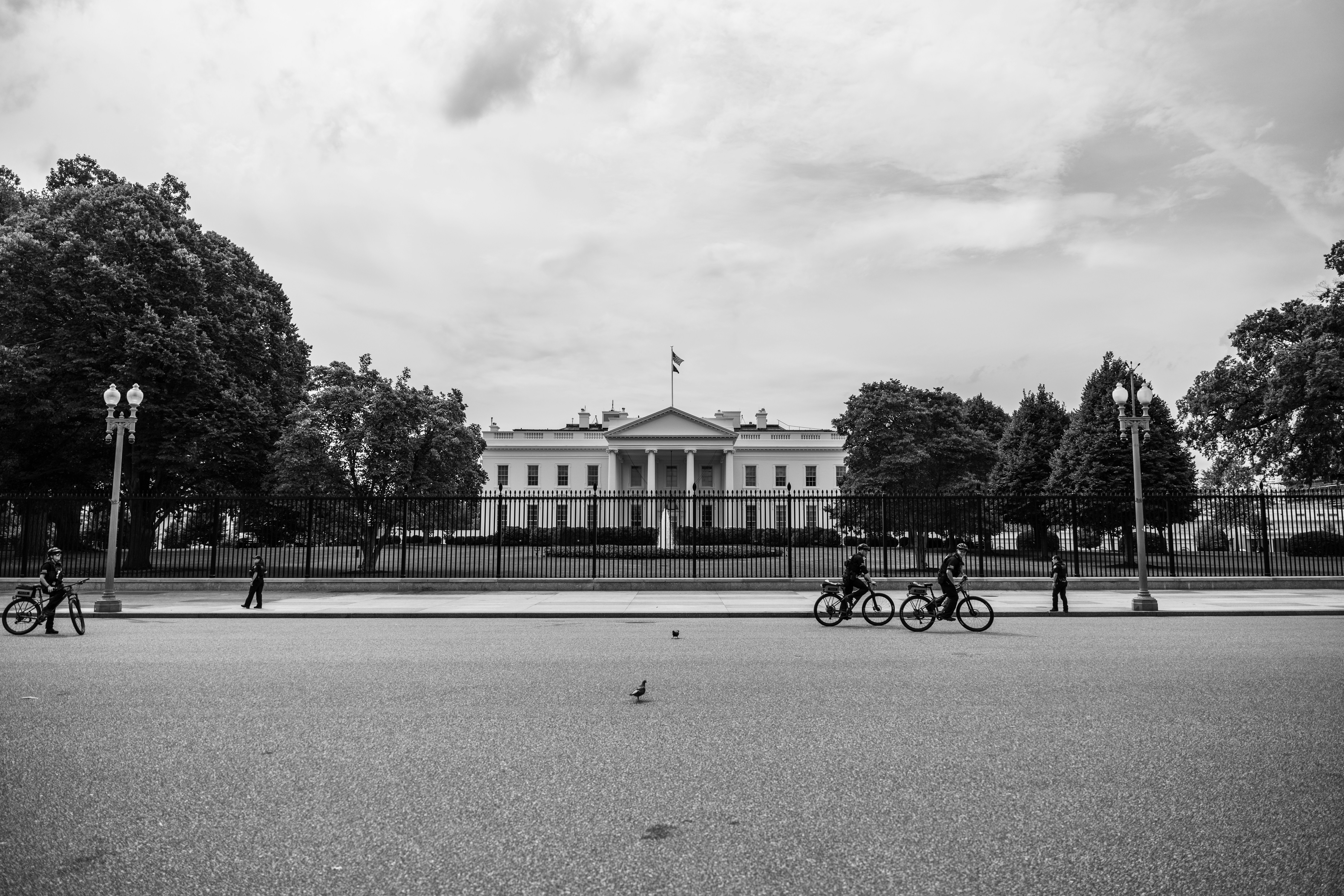 The Department of Government Ineptitude