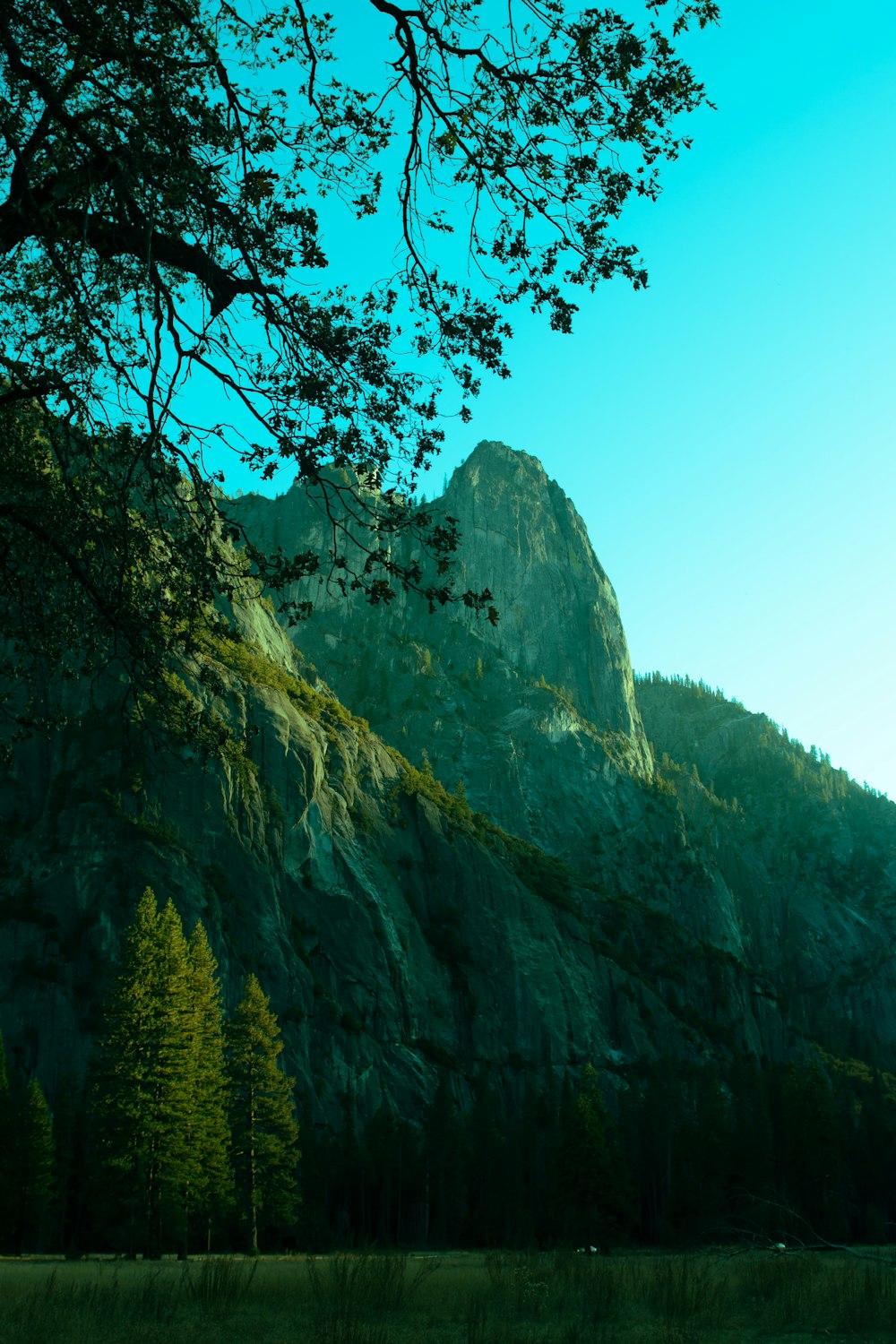 a large rock cliff with trees on it