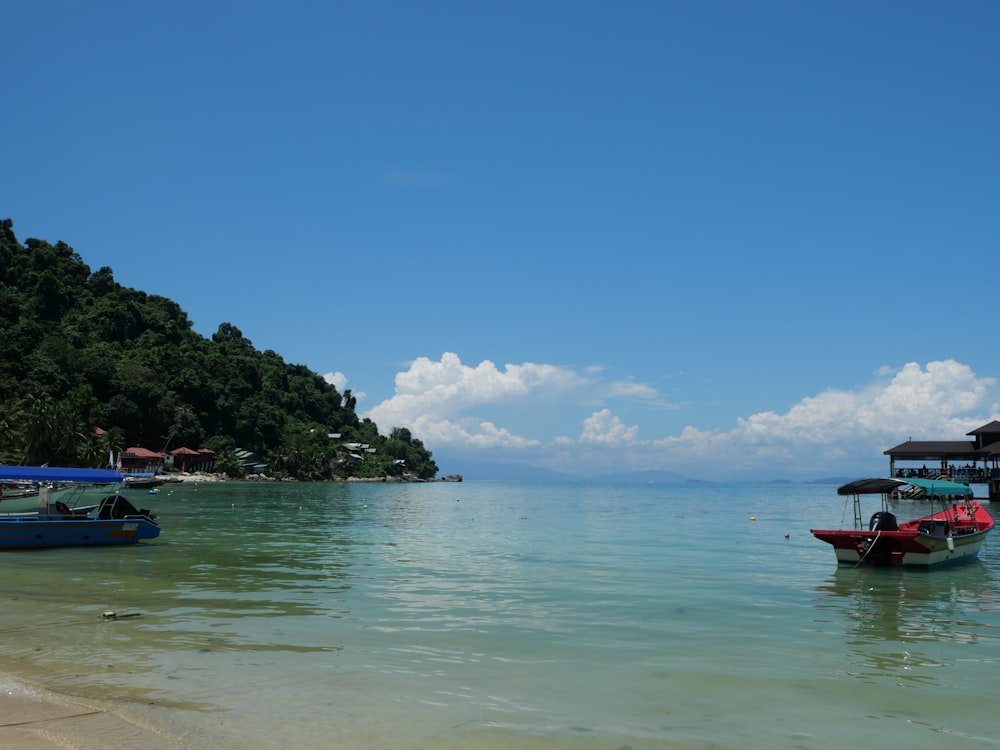 boats on the water