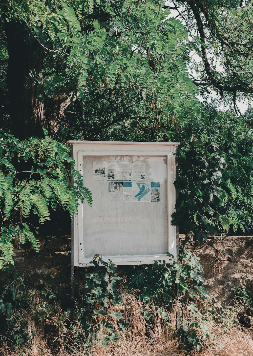 a white rectangular sign with writing on it surrounded by trees