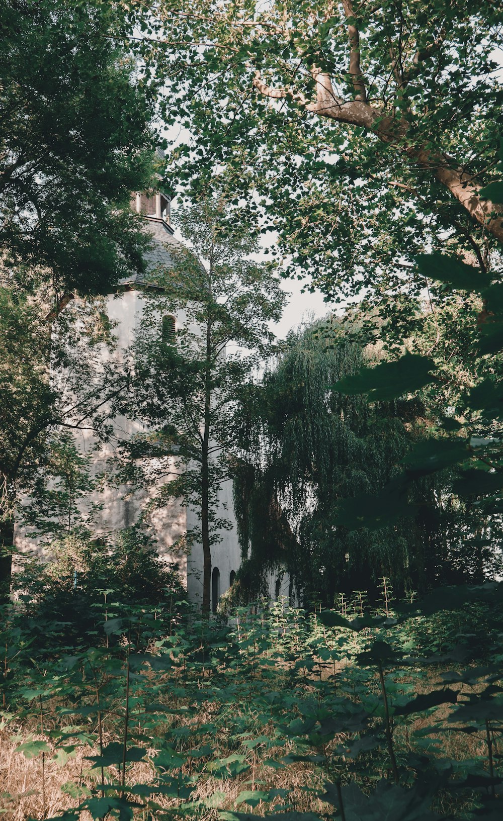 a building behind trees