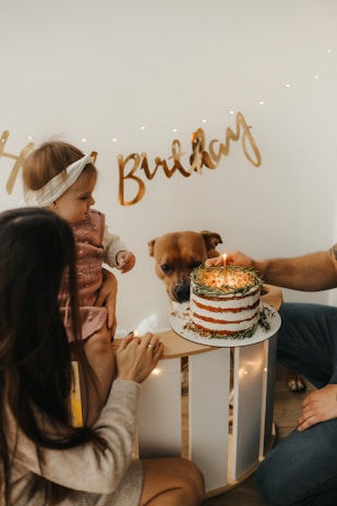 a dog looking at a birthday cake
