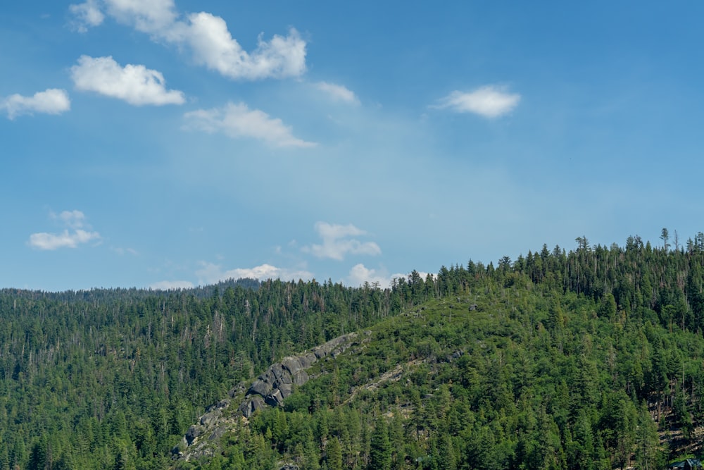 a landscape with trees and mountains