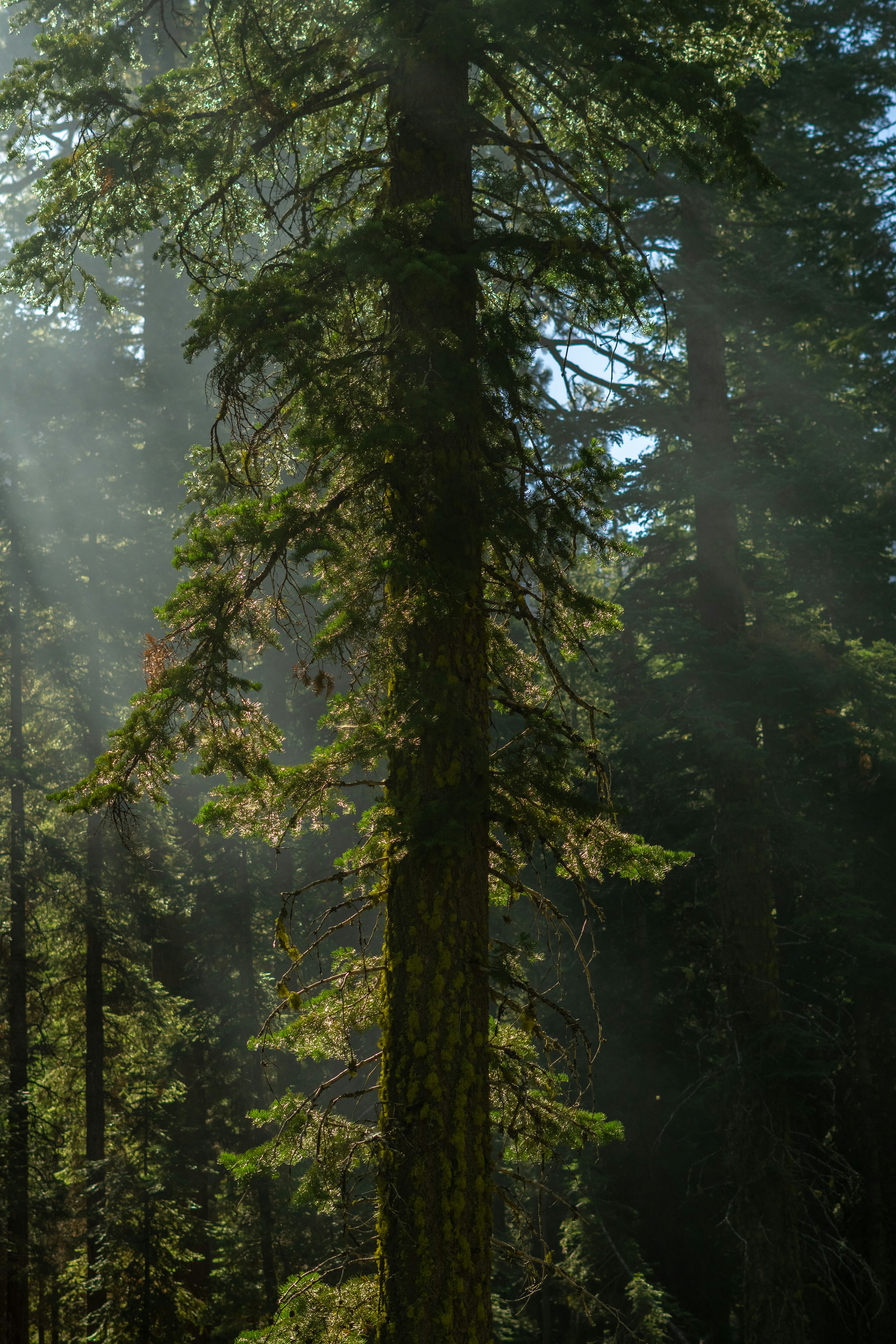 Photo by spencer_demera