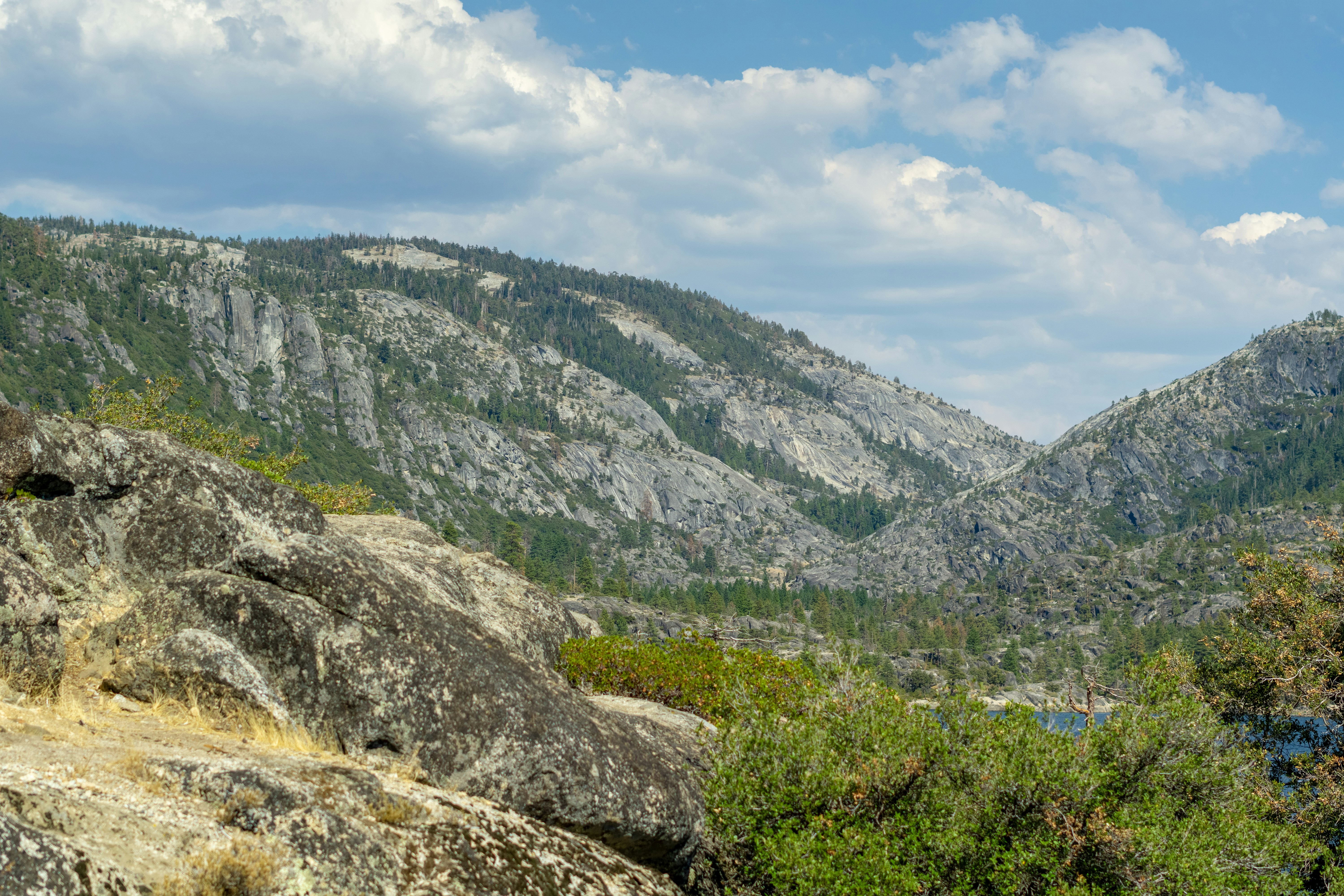 Photo by spencer_demera