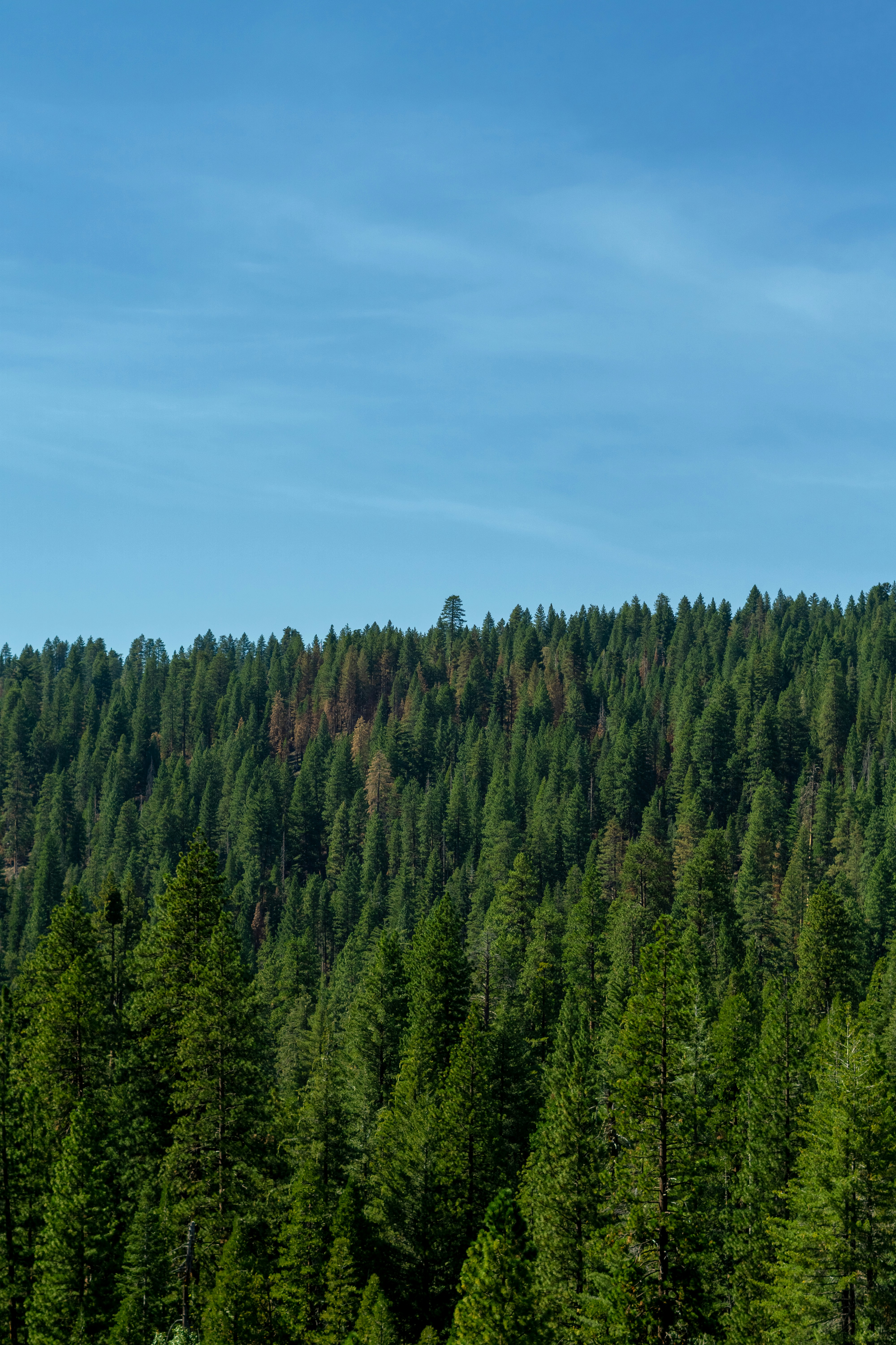 Photo by spencer_demera