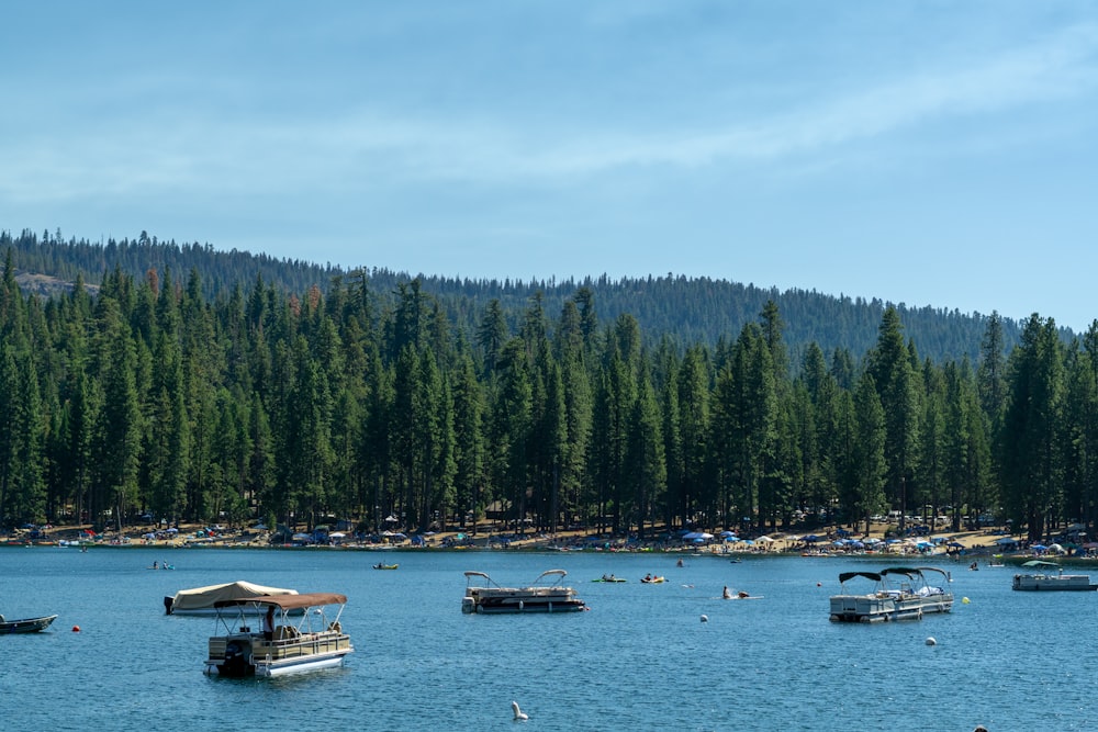 a group of boats on a lake