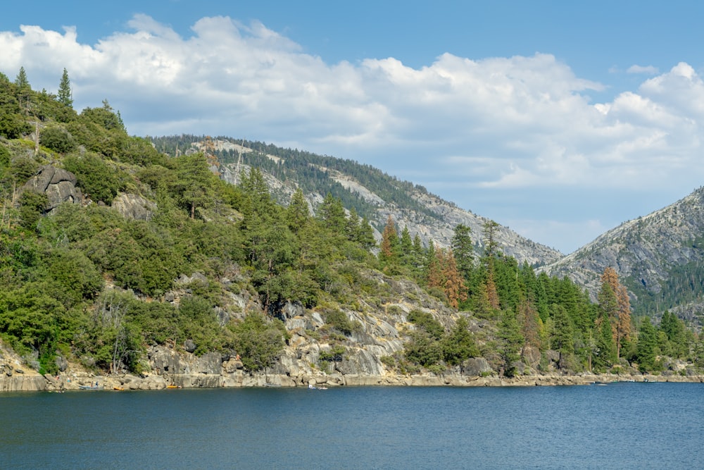 a body of water with trees and mountains in the background