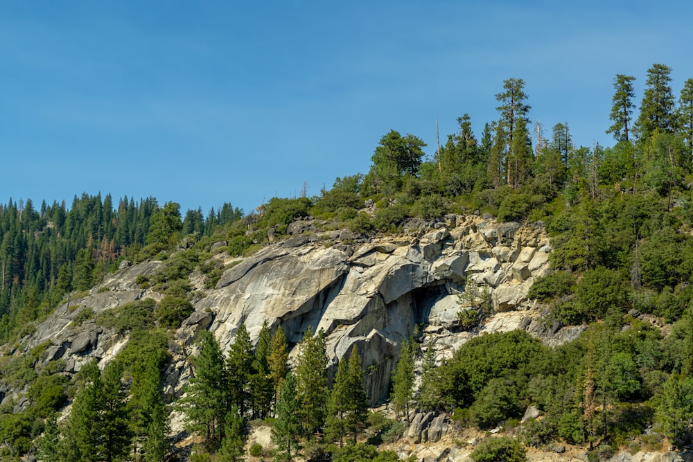 a rocky cliff with trees on it