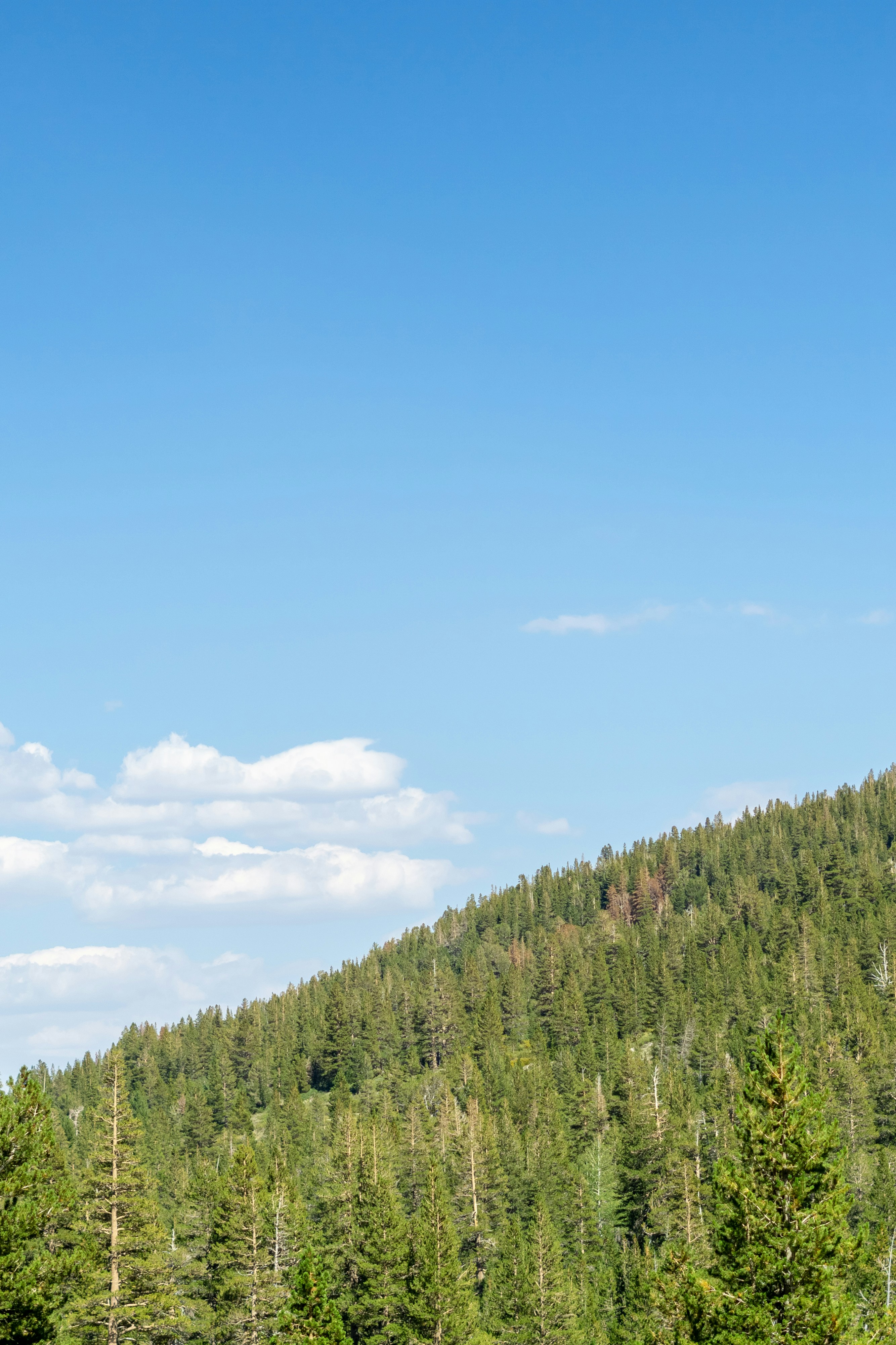 Photo by spencer_demera