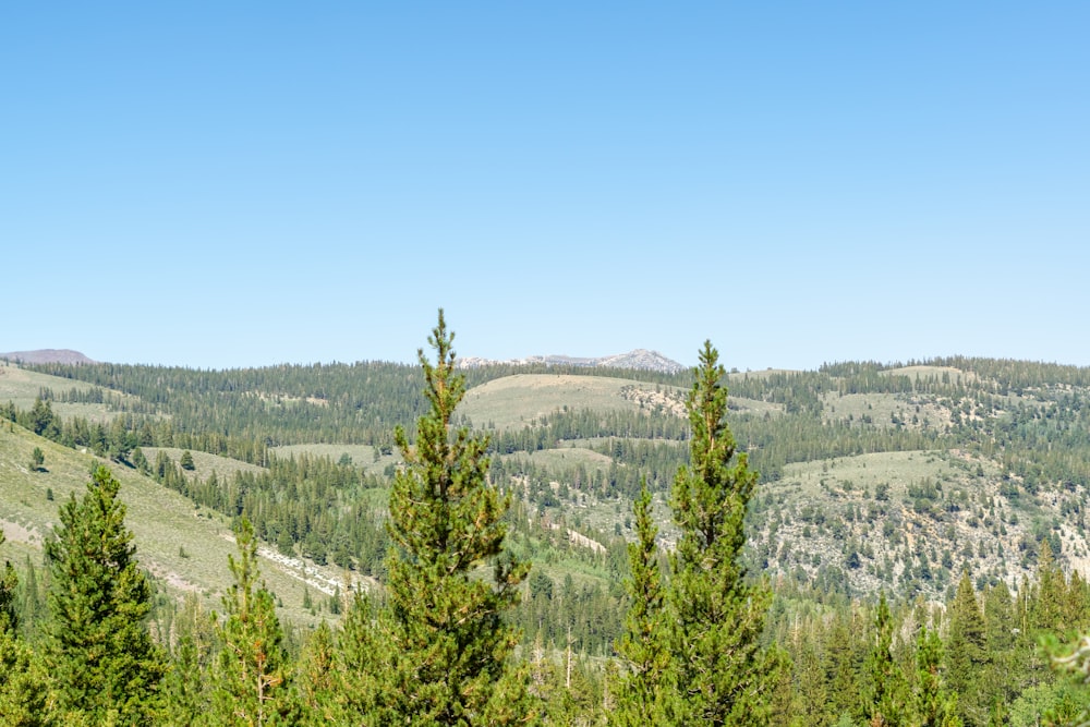 a landscape with trees and hills