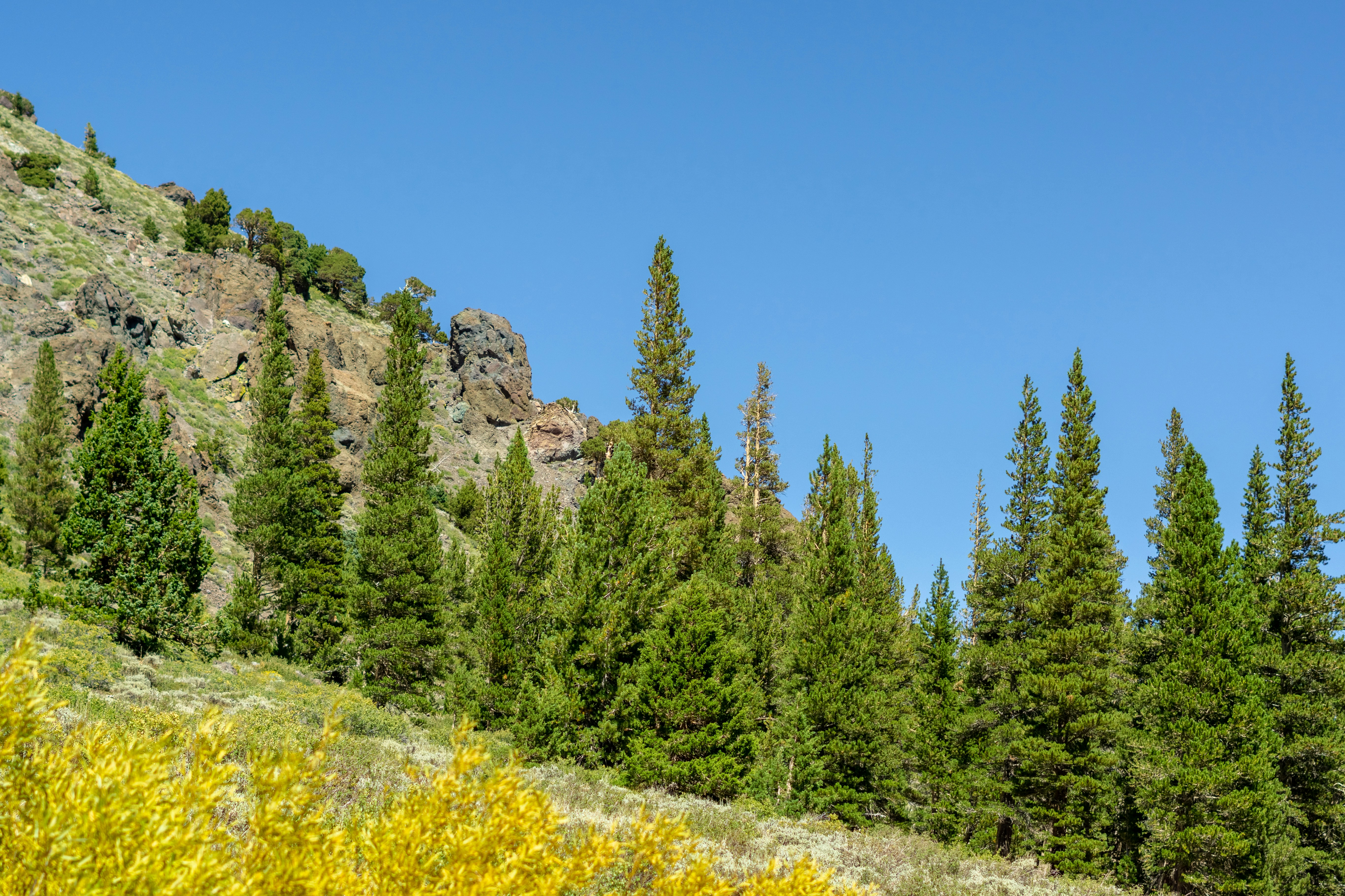 Photo by spencer_demera