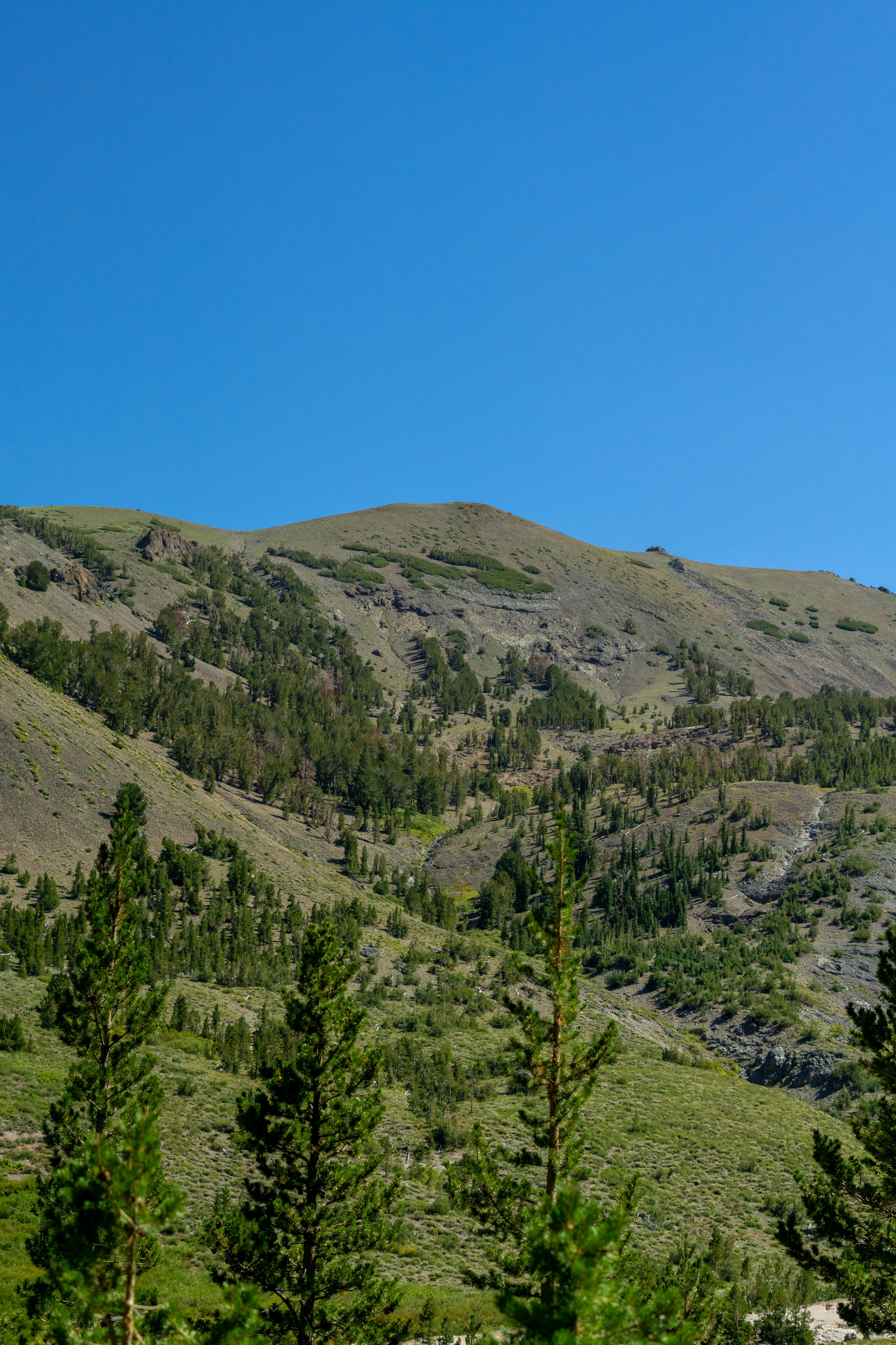 Photo by spencer_demera