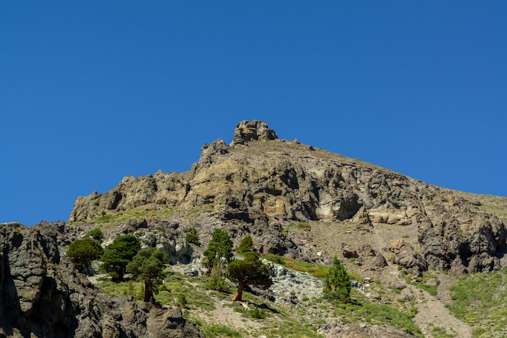 a rocky mountain with trees