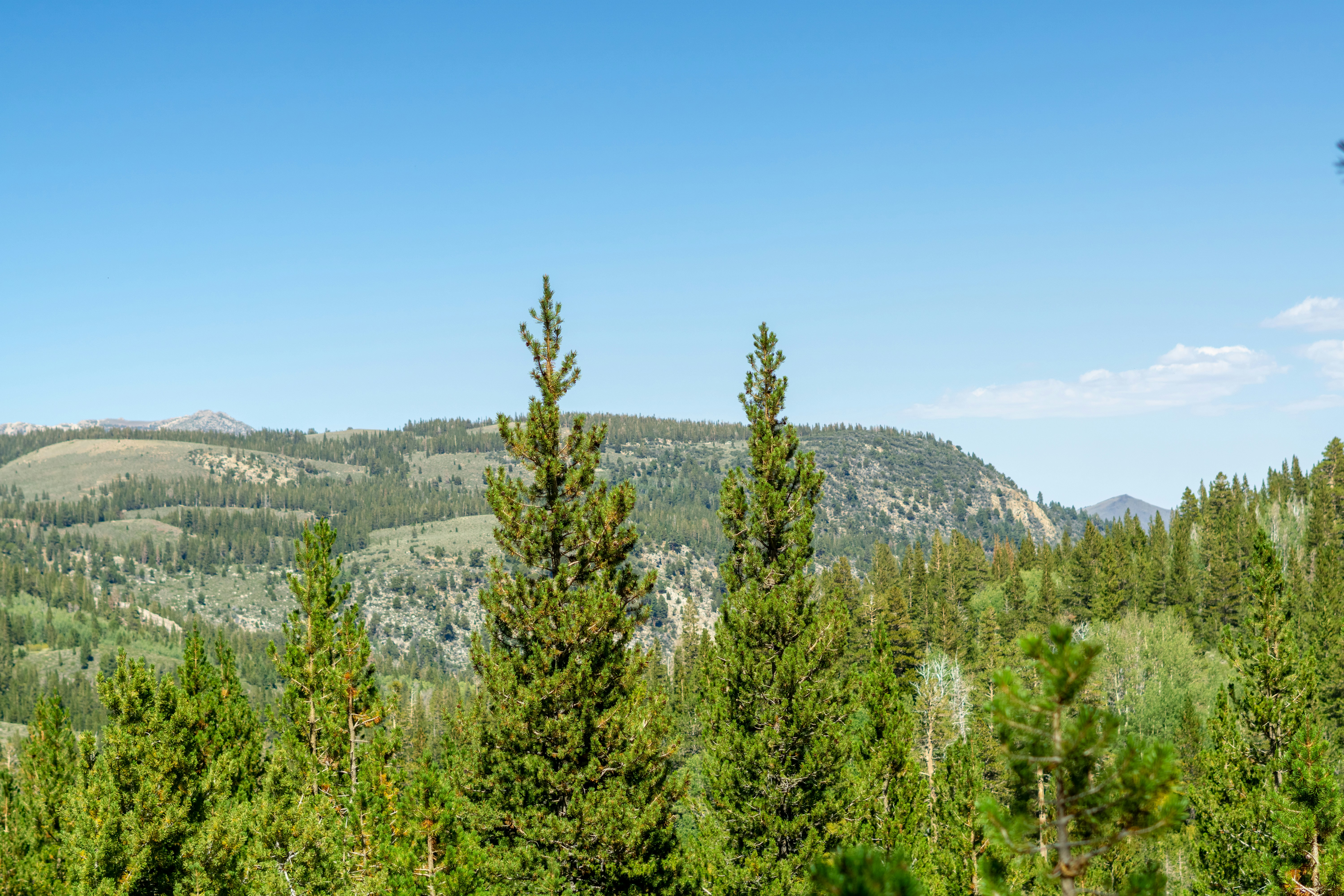 Photo by spencer_demera