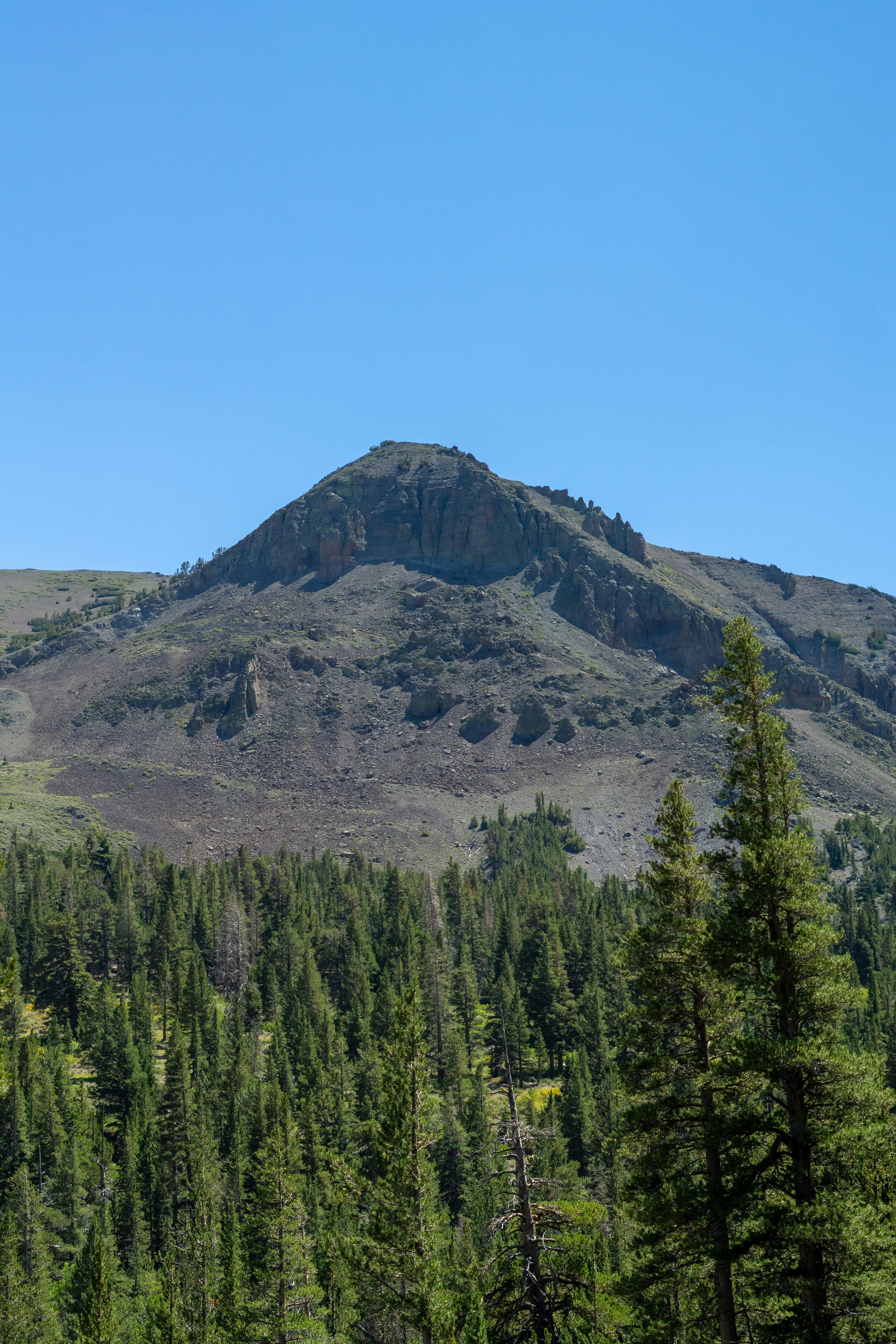 Photo by spencer_demera