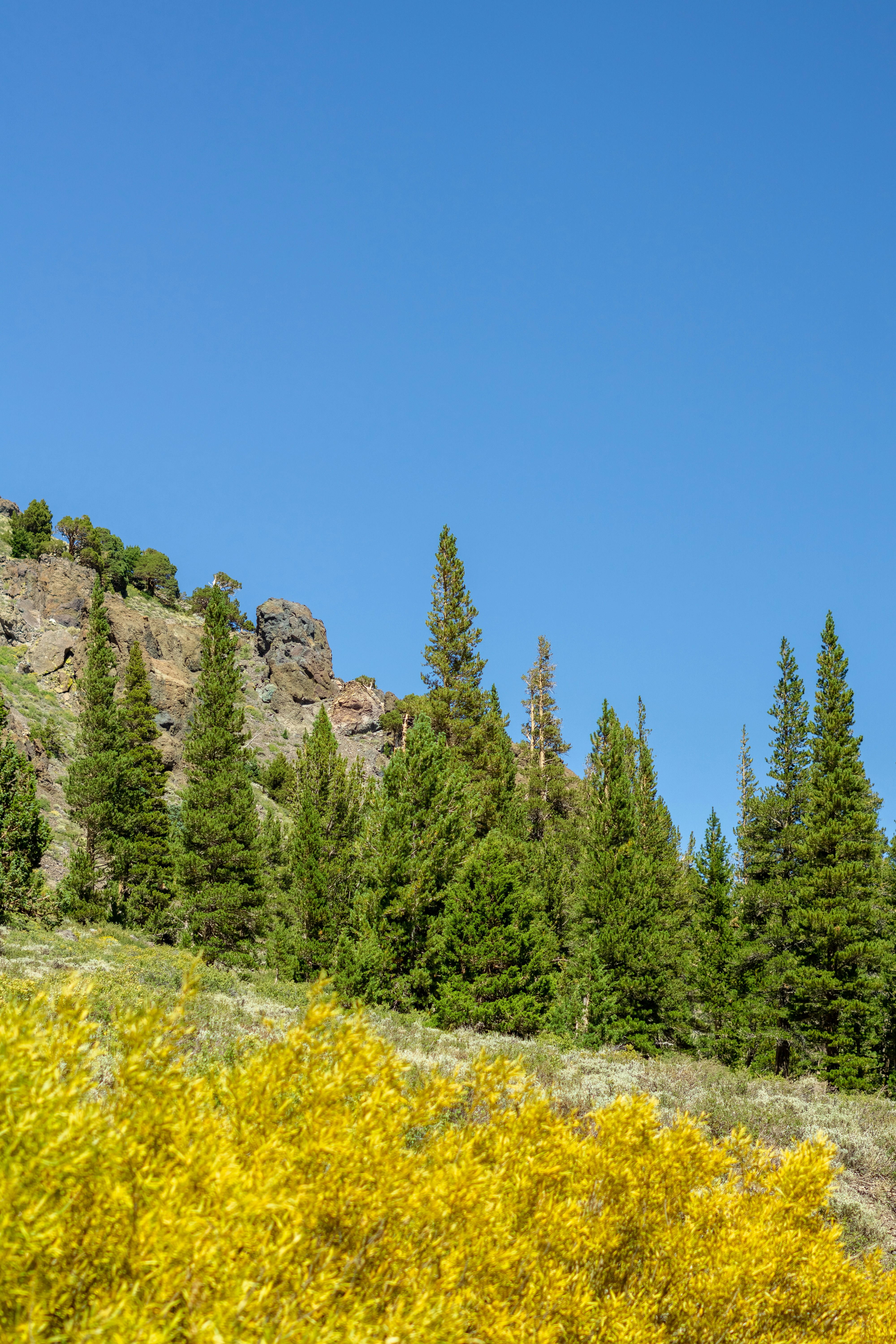 Photo by spencer_demera