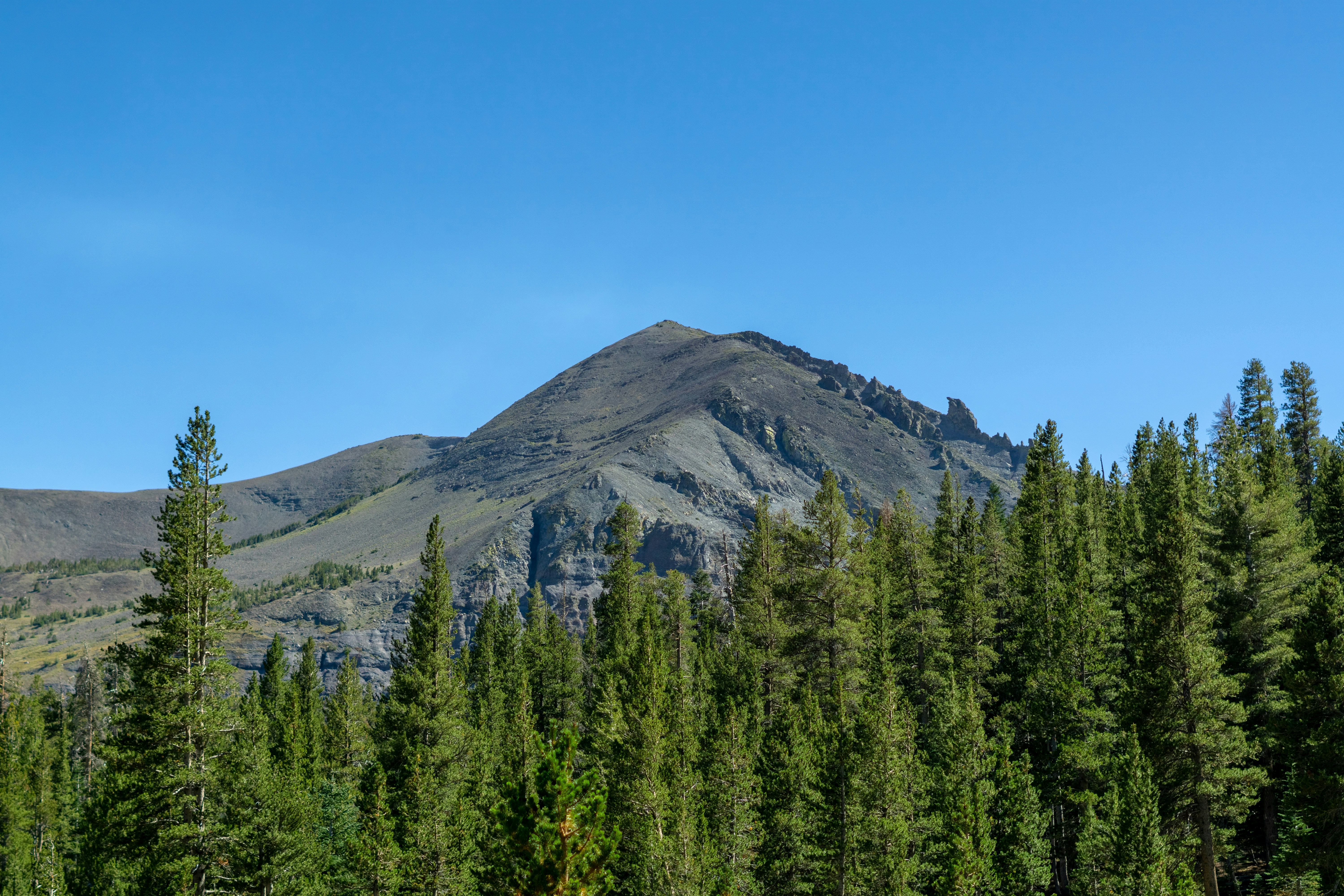 Photo by spencer_demera