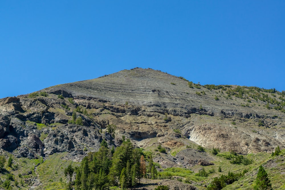 Eine Landschaft mit Bäumen und Hügeln