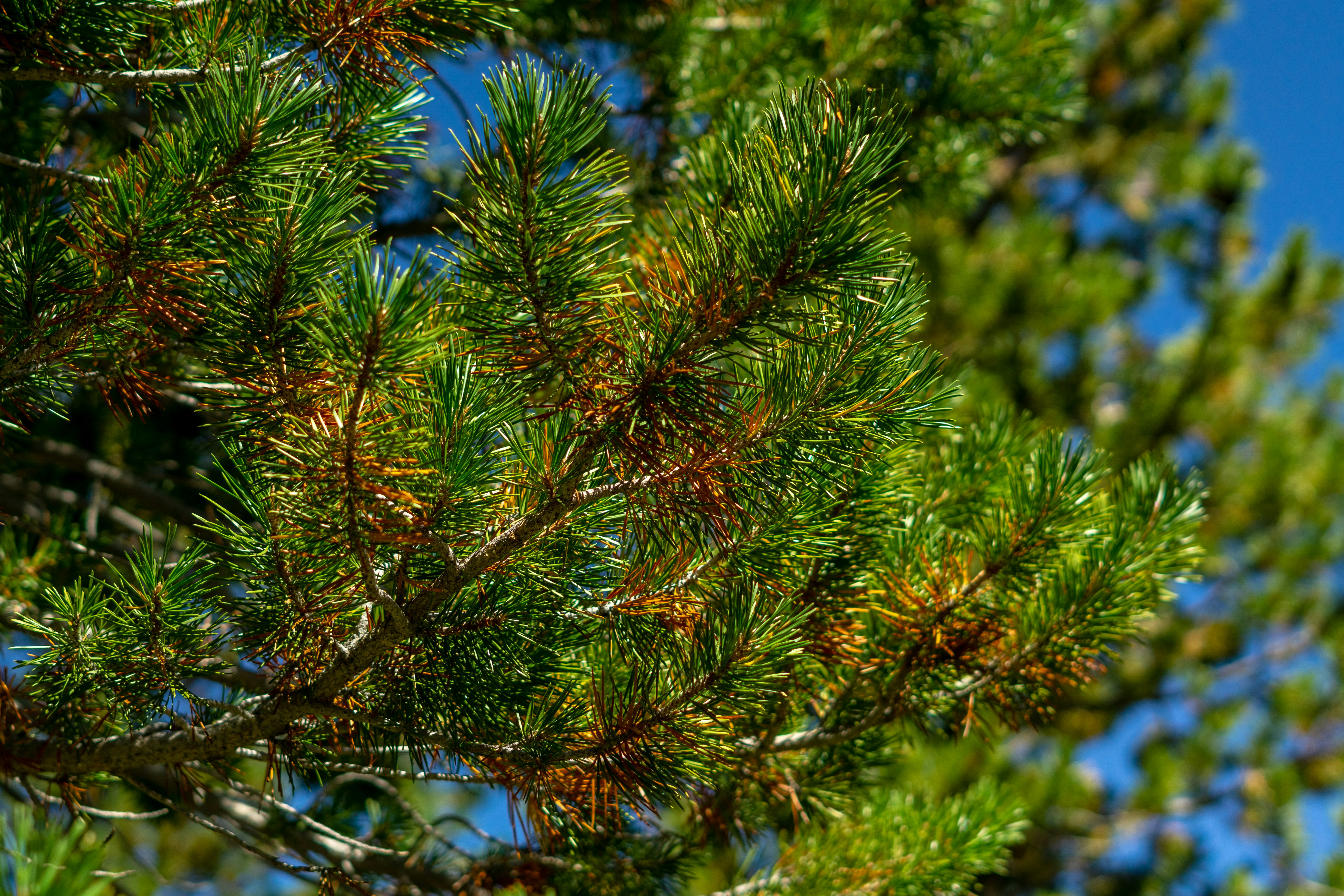 Photo by spencer_demera