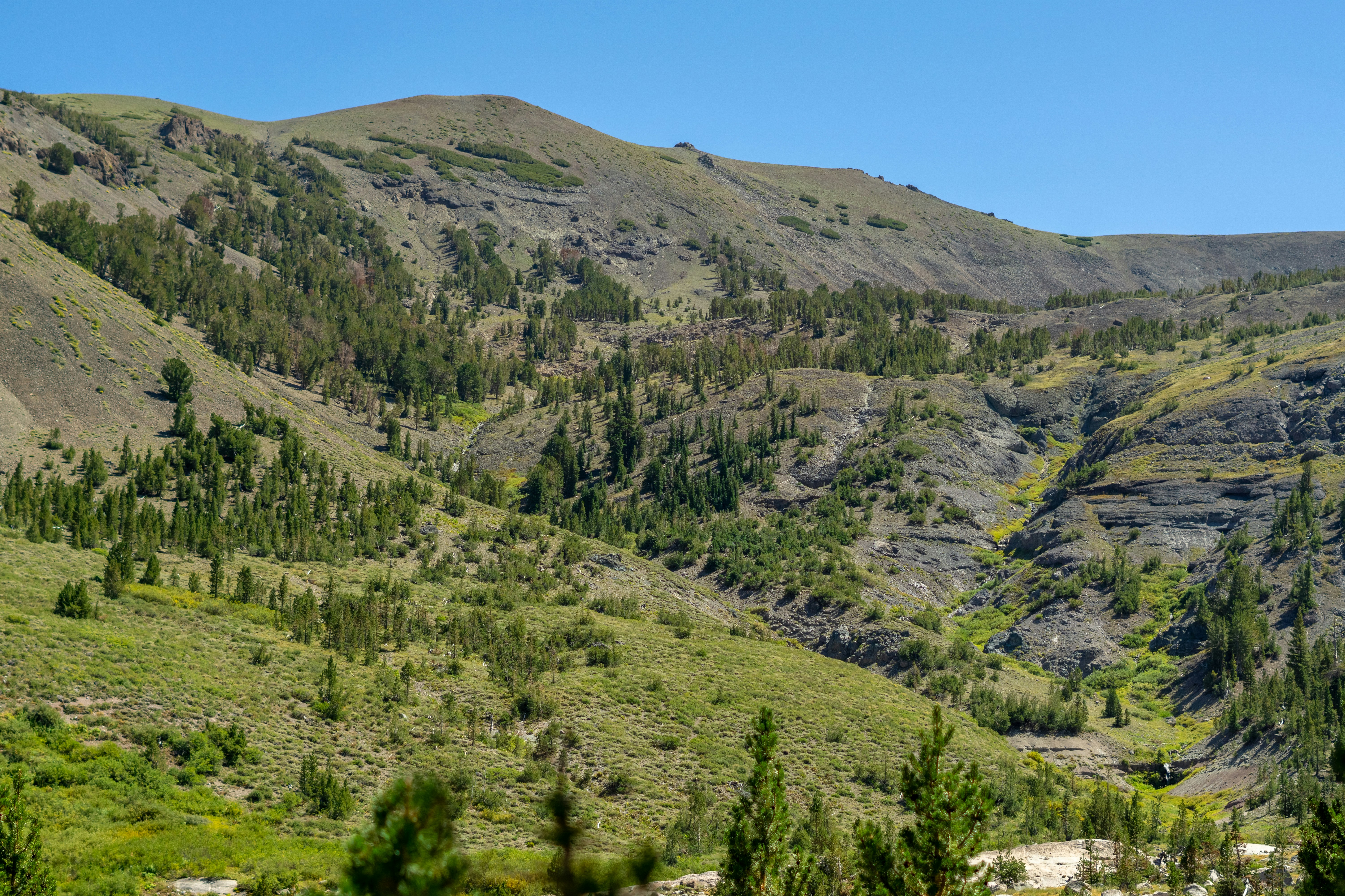 Photo by spencer_demera