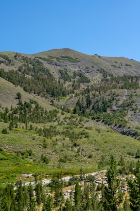 Close-up of a gently sloping terrain with natural vegetation and clear boundaries
