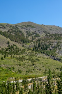 A natural landscape featuring a mountain with gentle slopes covered in green vegetation and sparse trees. The foreground shows a variety of lush greenery, while the background is dominated by rolling hills under a clear blue sky.