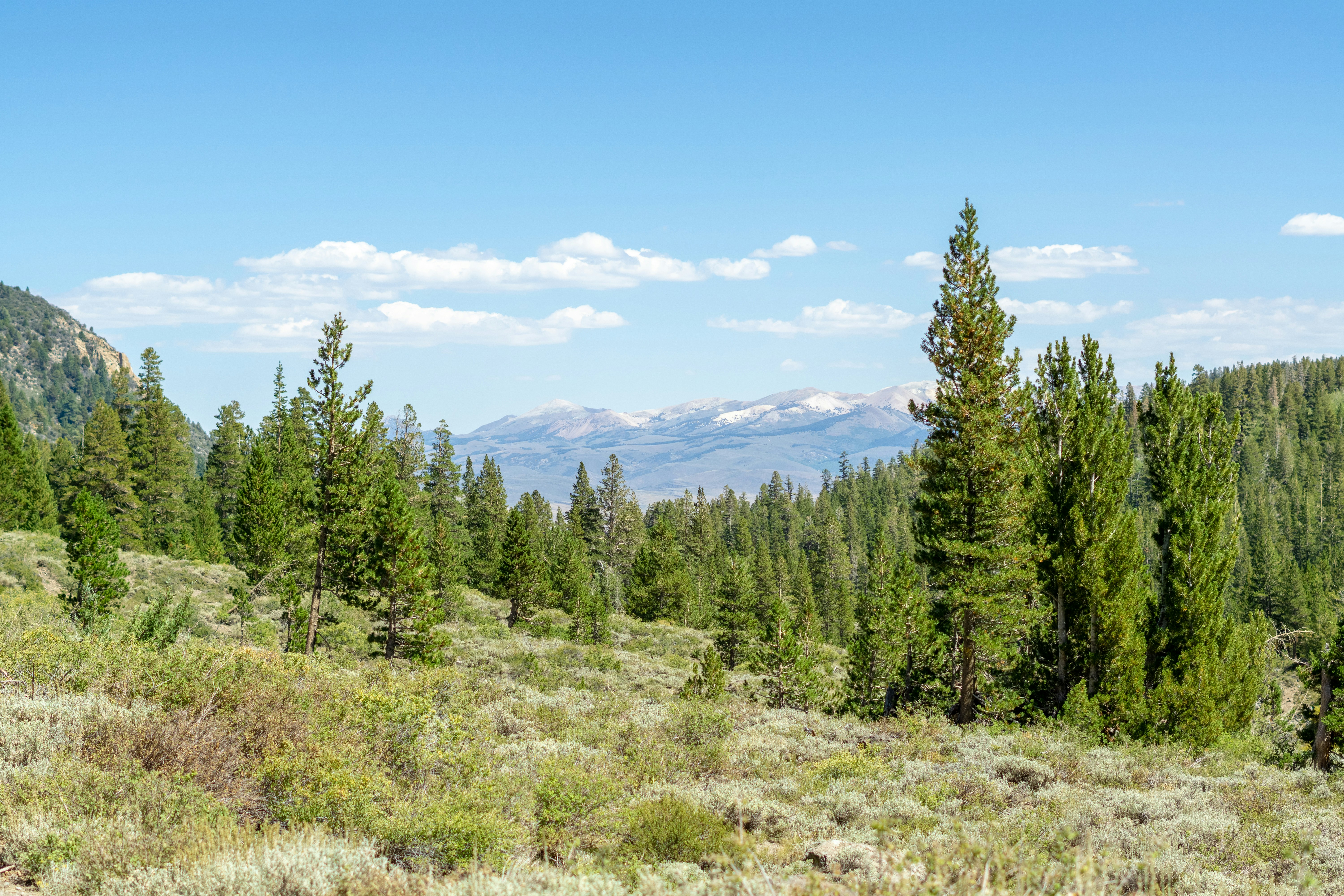 Photo by spencer_demera