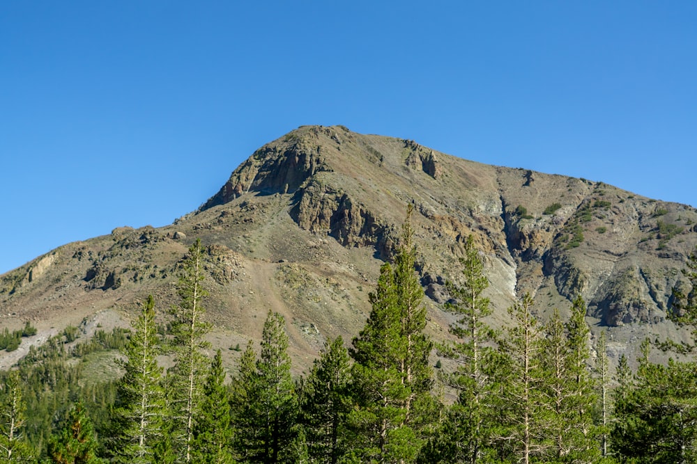 Ein Berg mit Bäumen darauf