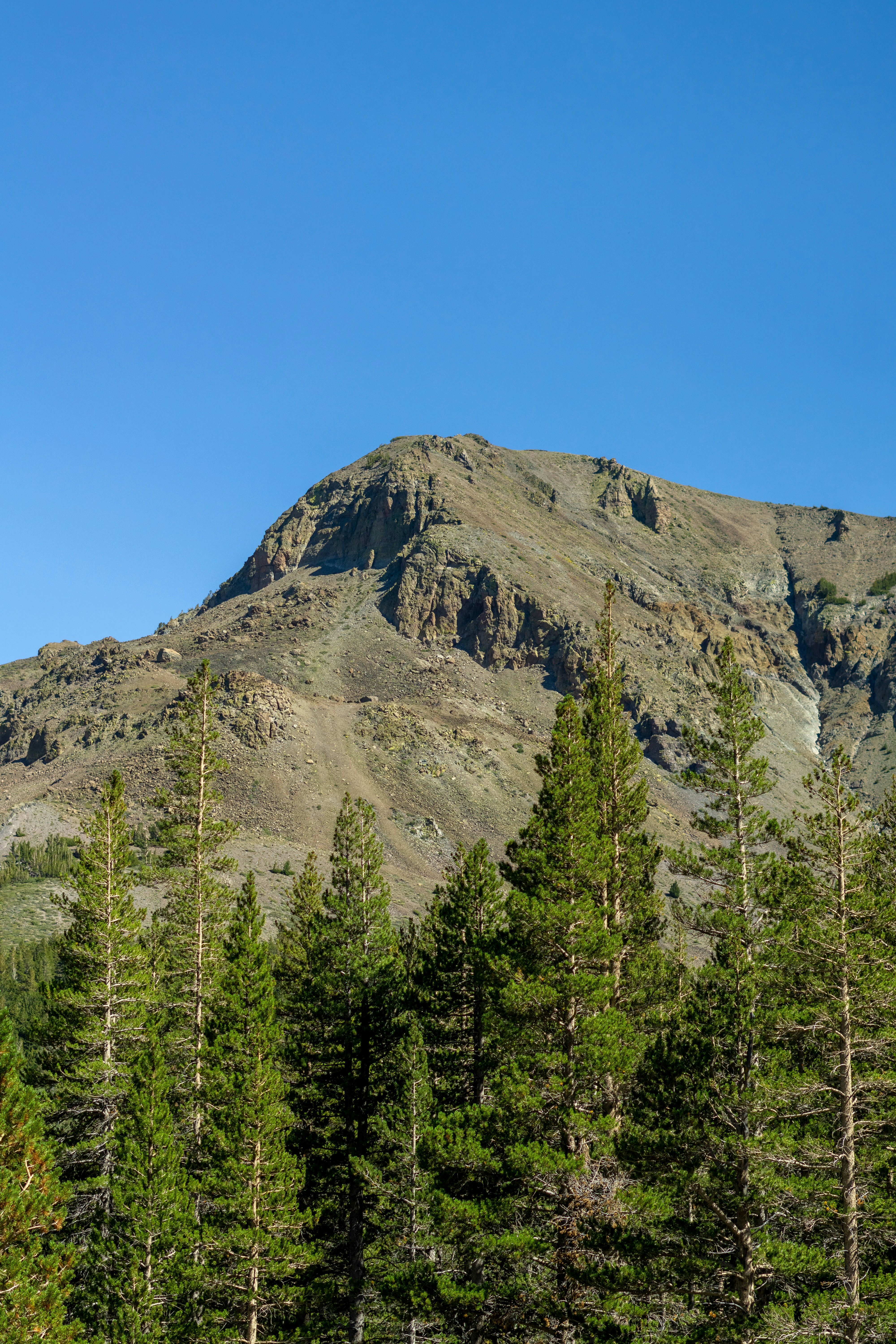 Photo by spencer_demera