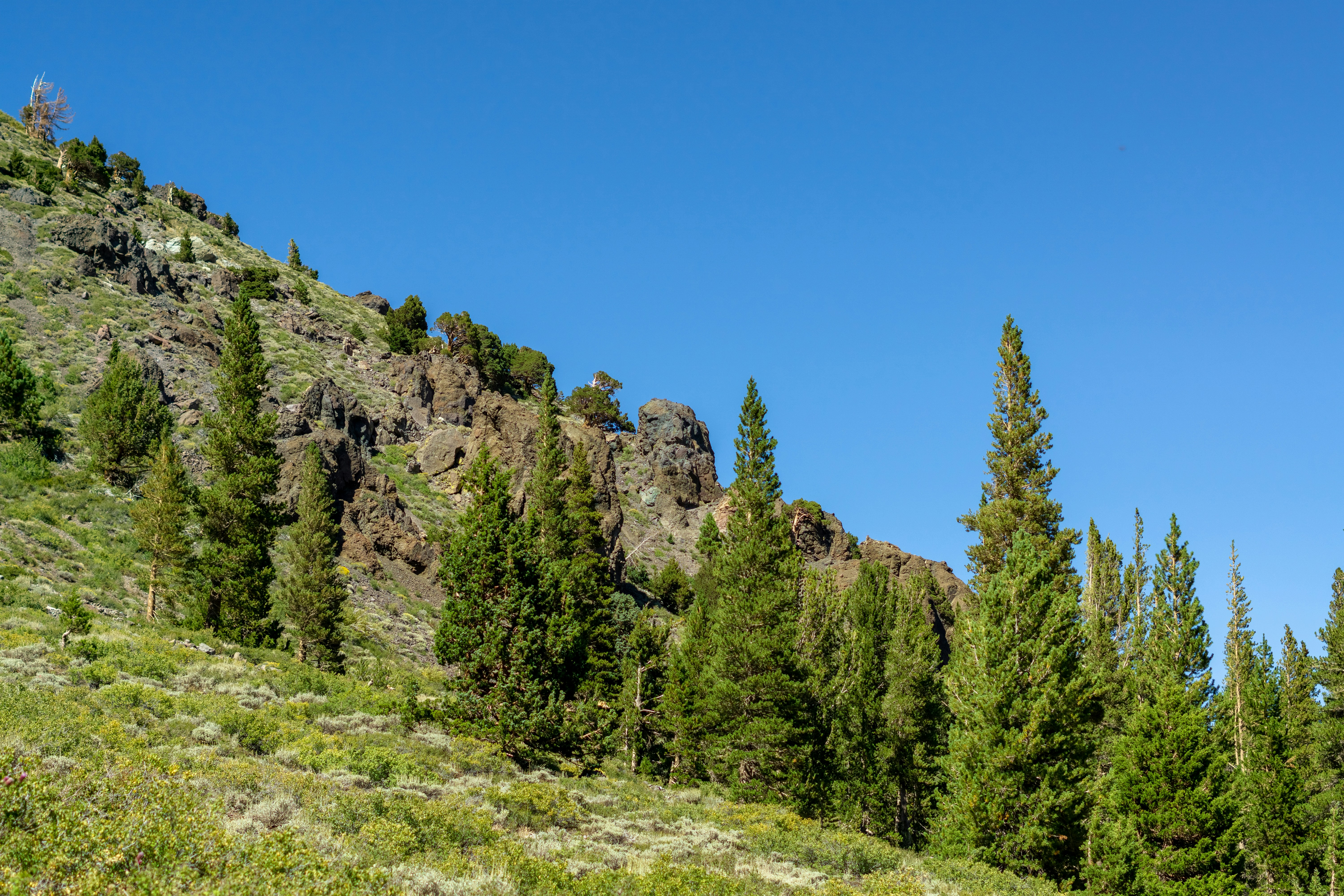 Photo by spencer_demera