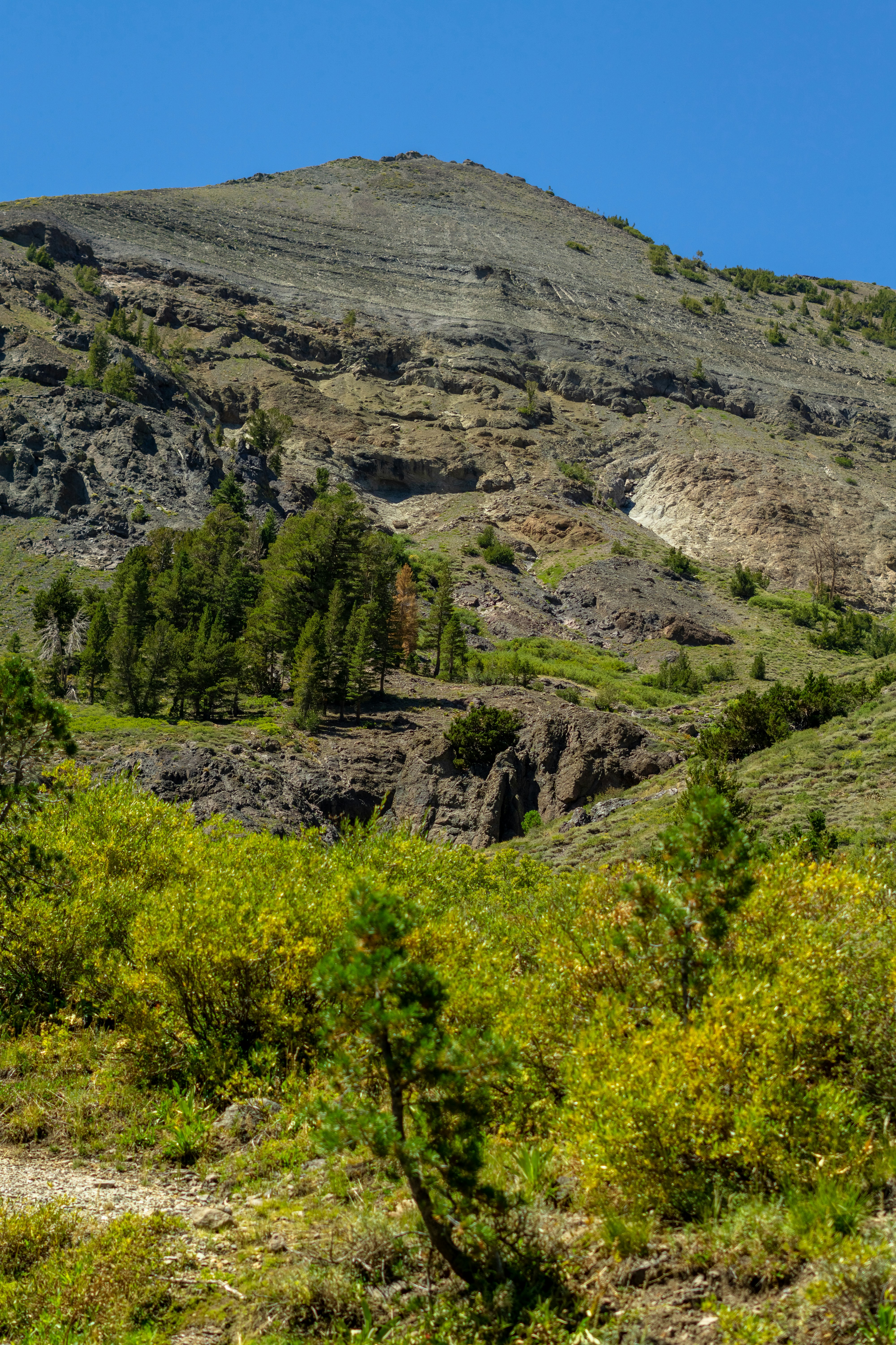 Photo by spencer_demera