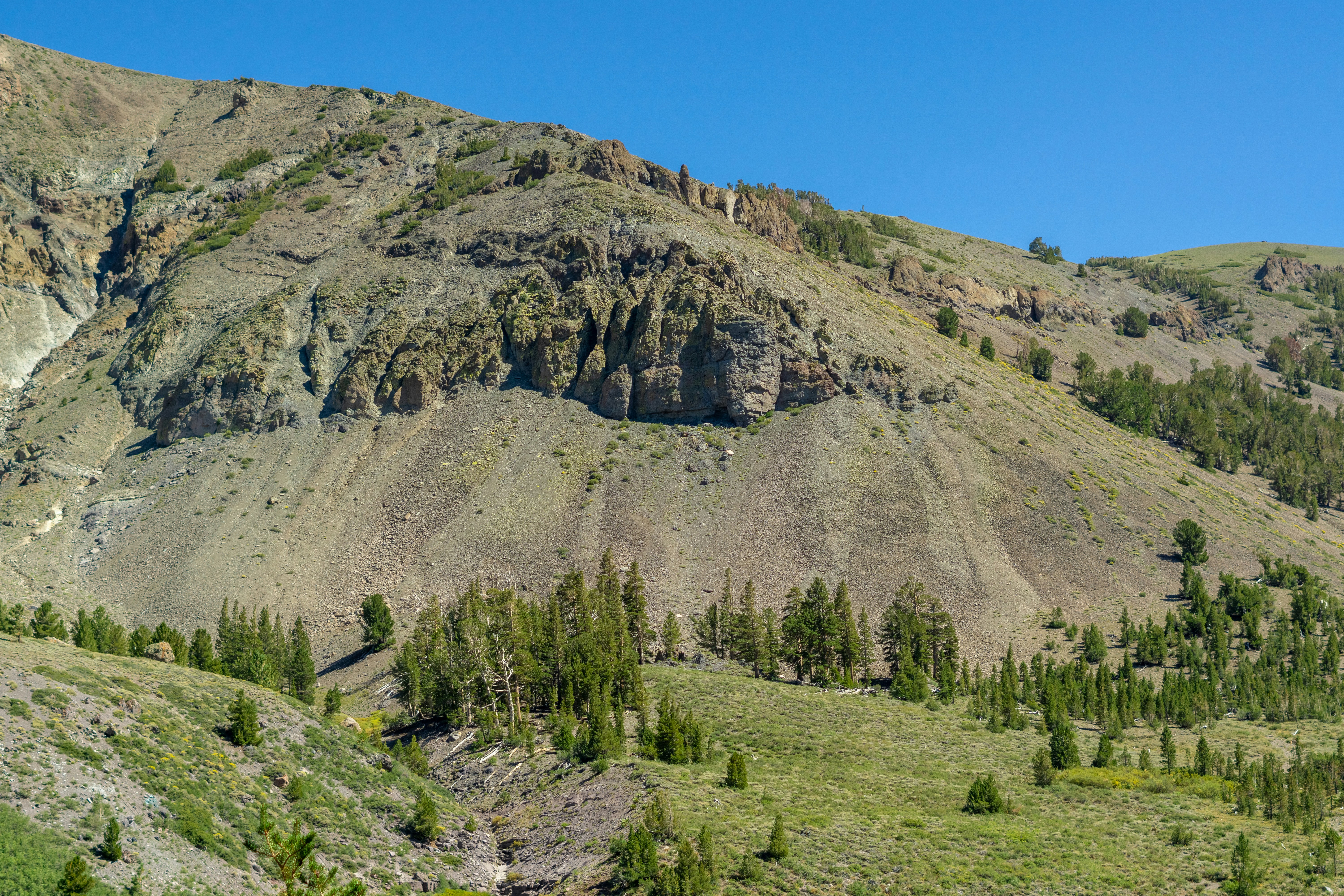 Photo by spencer_demera