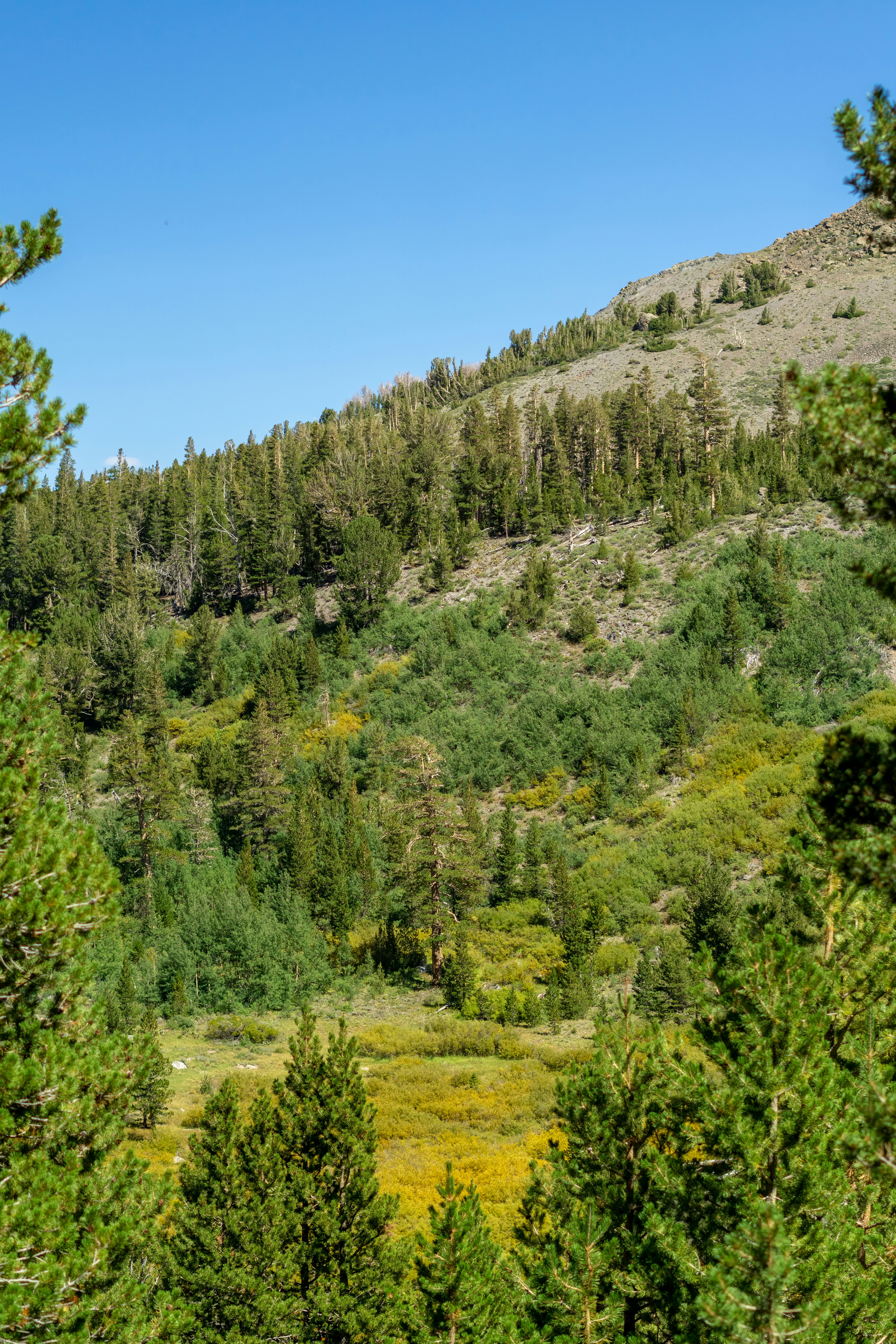 Photo by spencer_demera