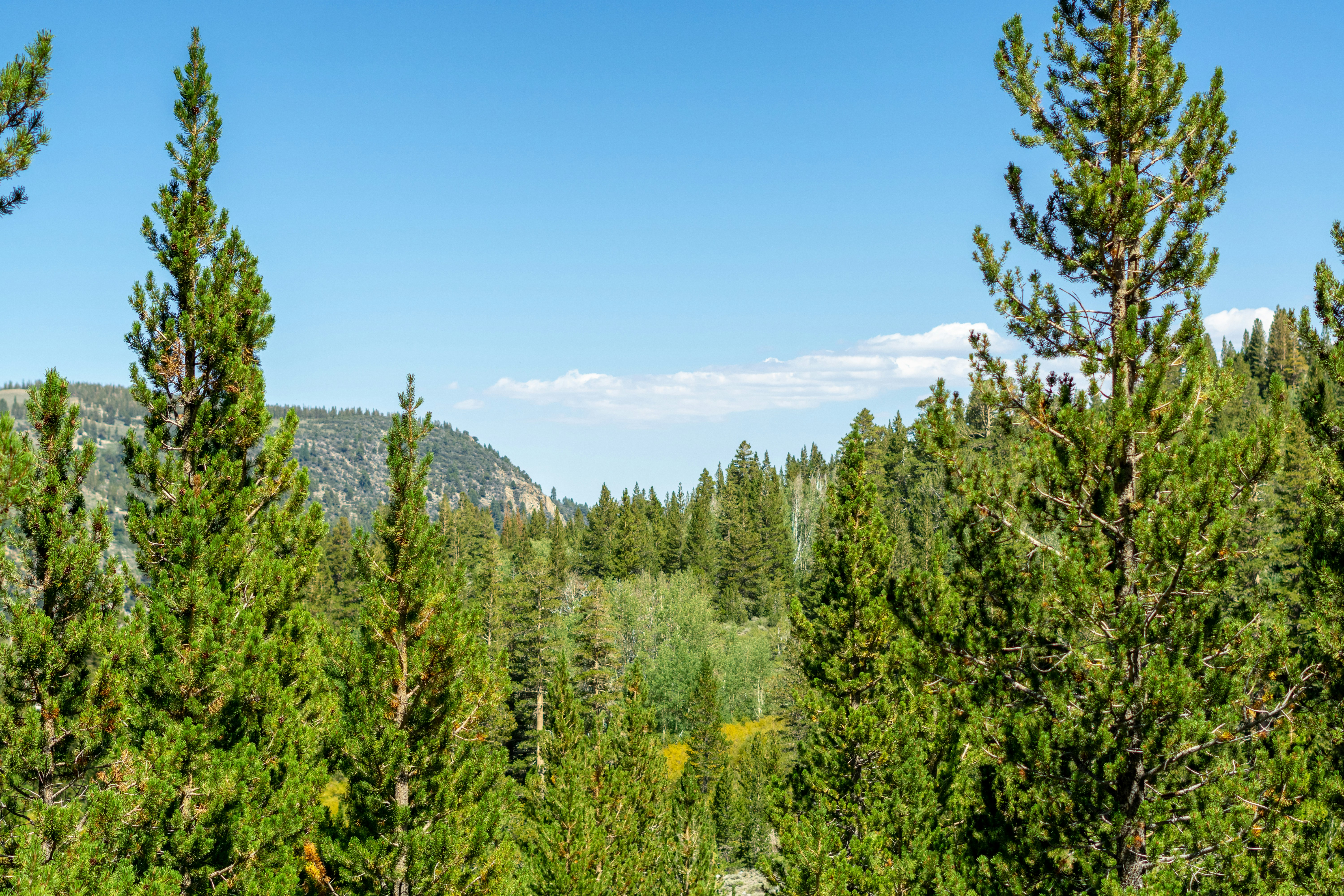 Photo by spencer_demera