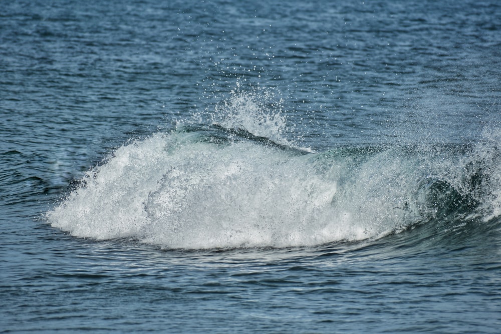 a wave in the ocean