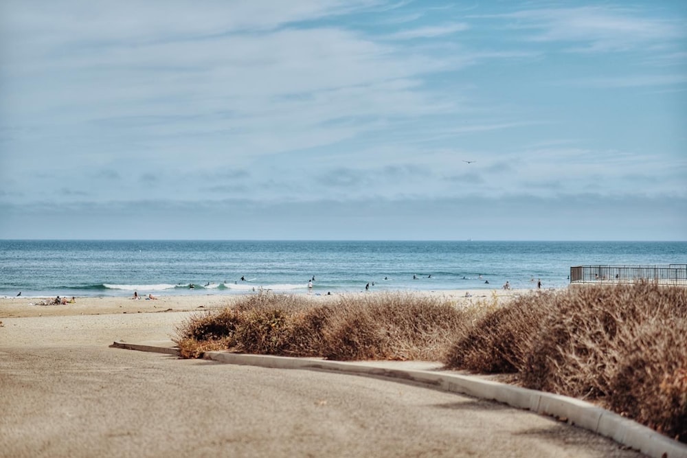 a beach with people on it