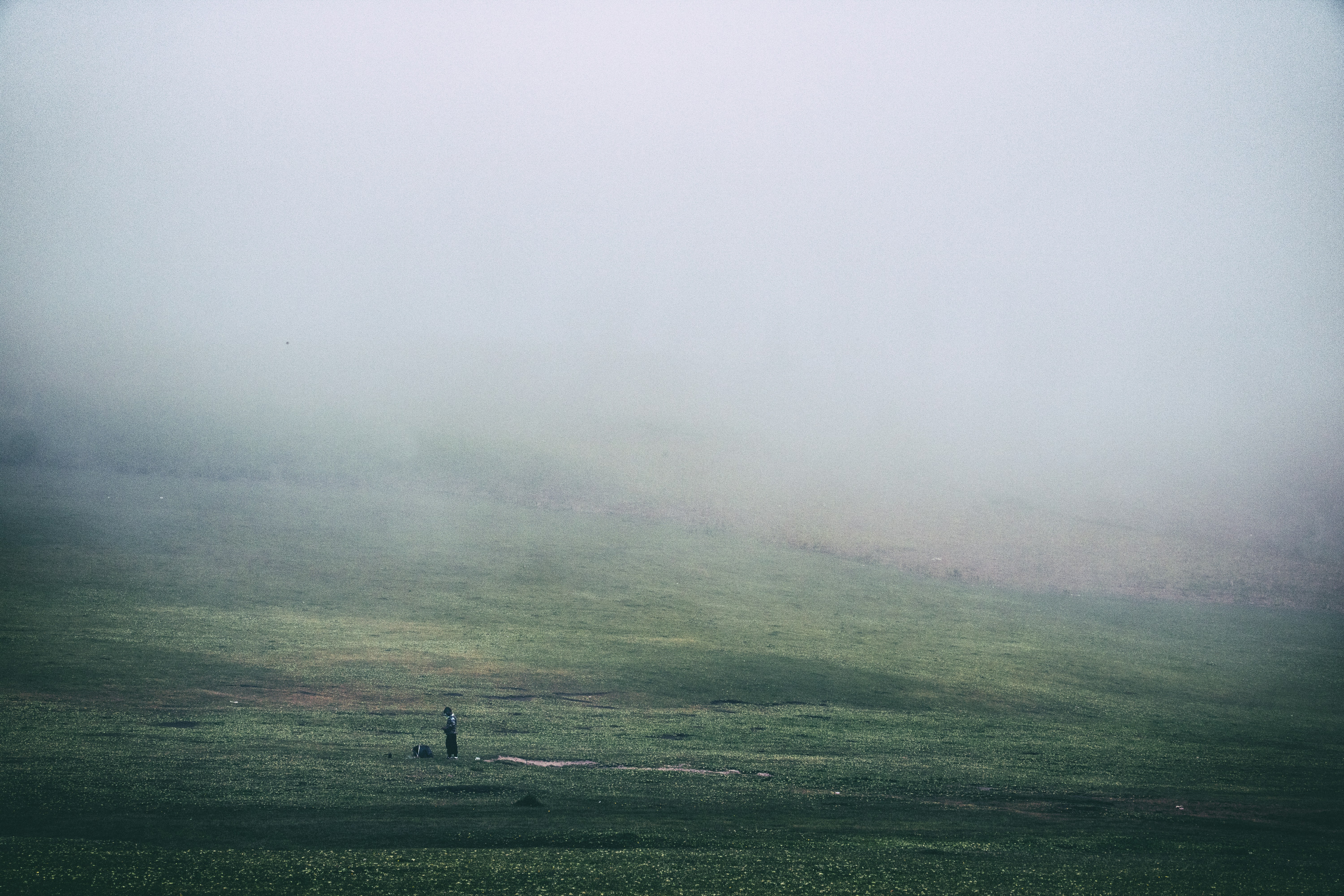 Photo by marjantaghipour