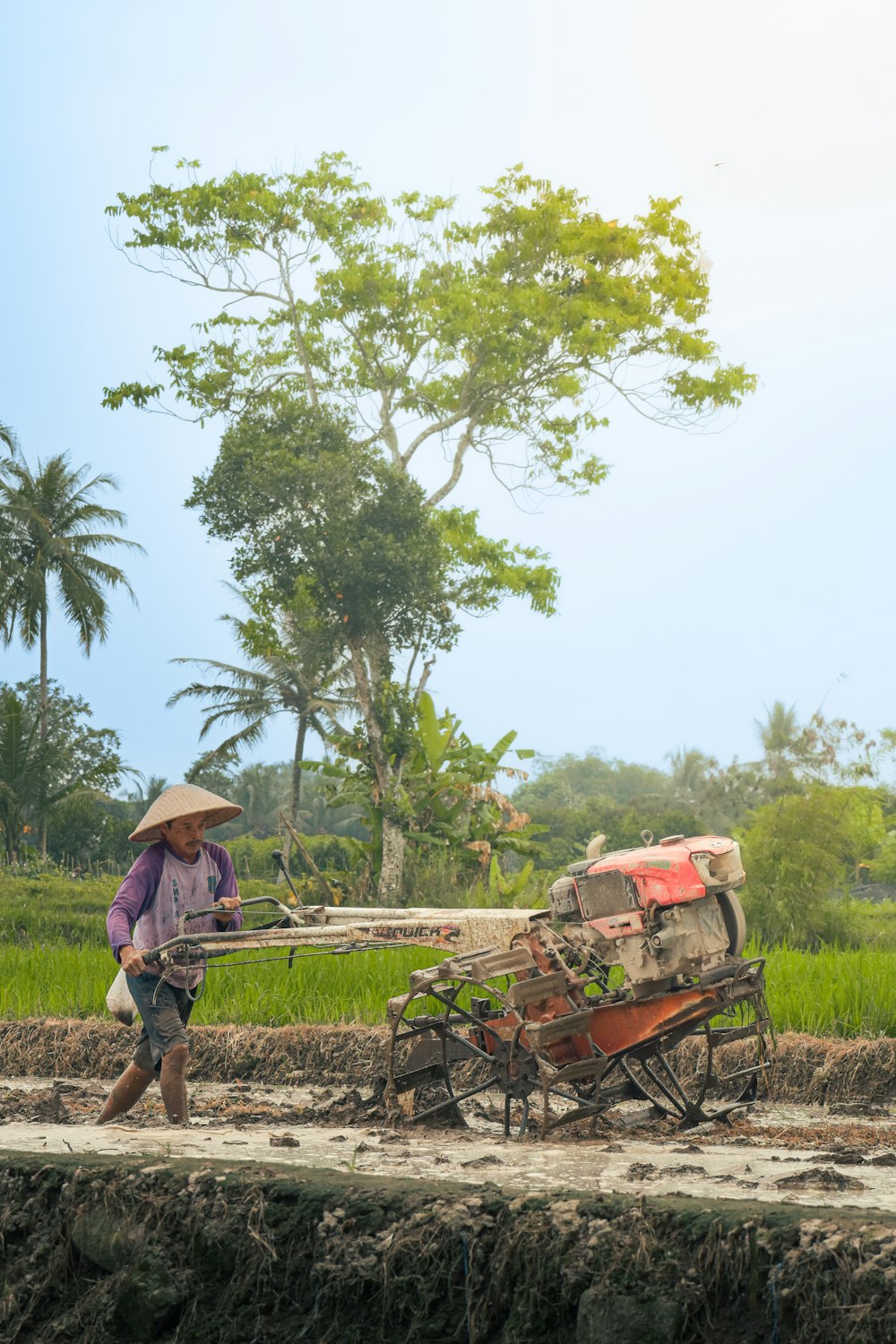 a man pulling a cart with a tree in the background